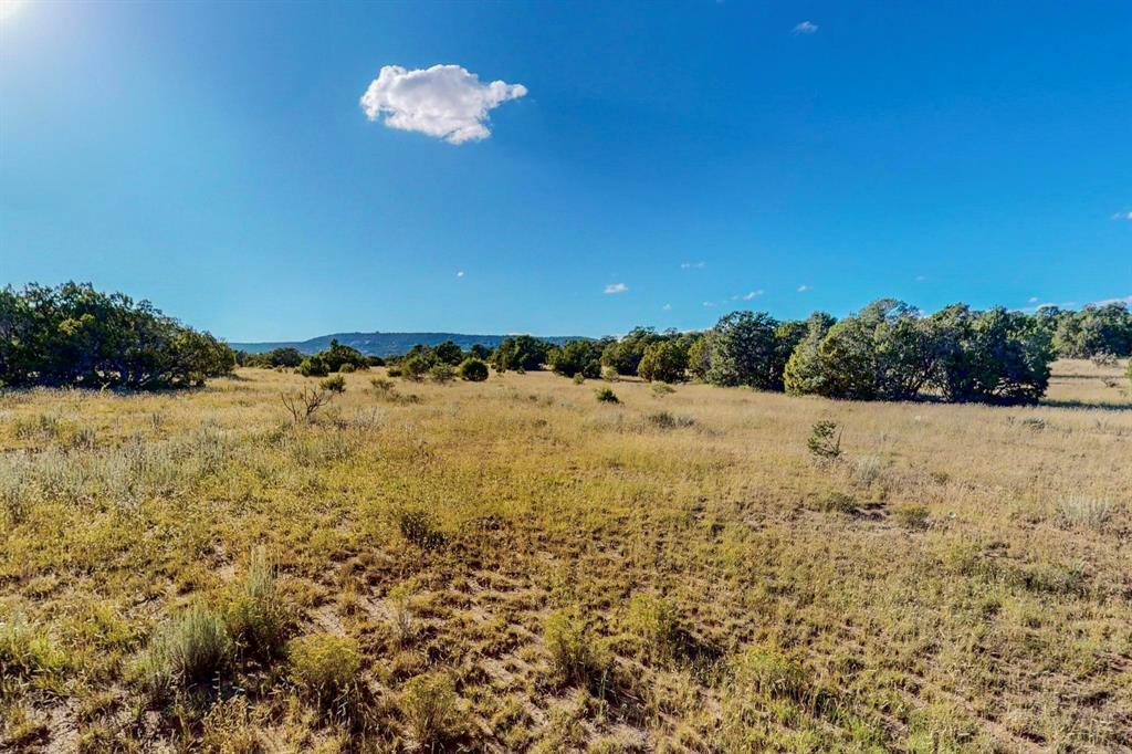 64 Saddle Spur Trail Trail, Edgewood, New Mexico image 16