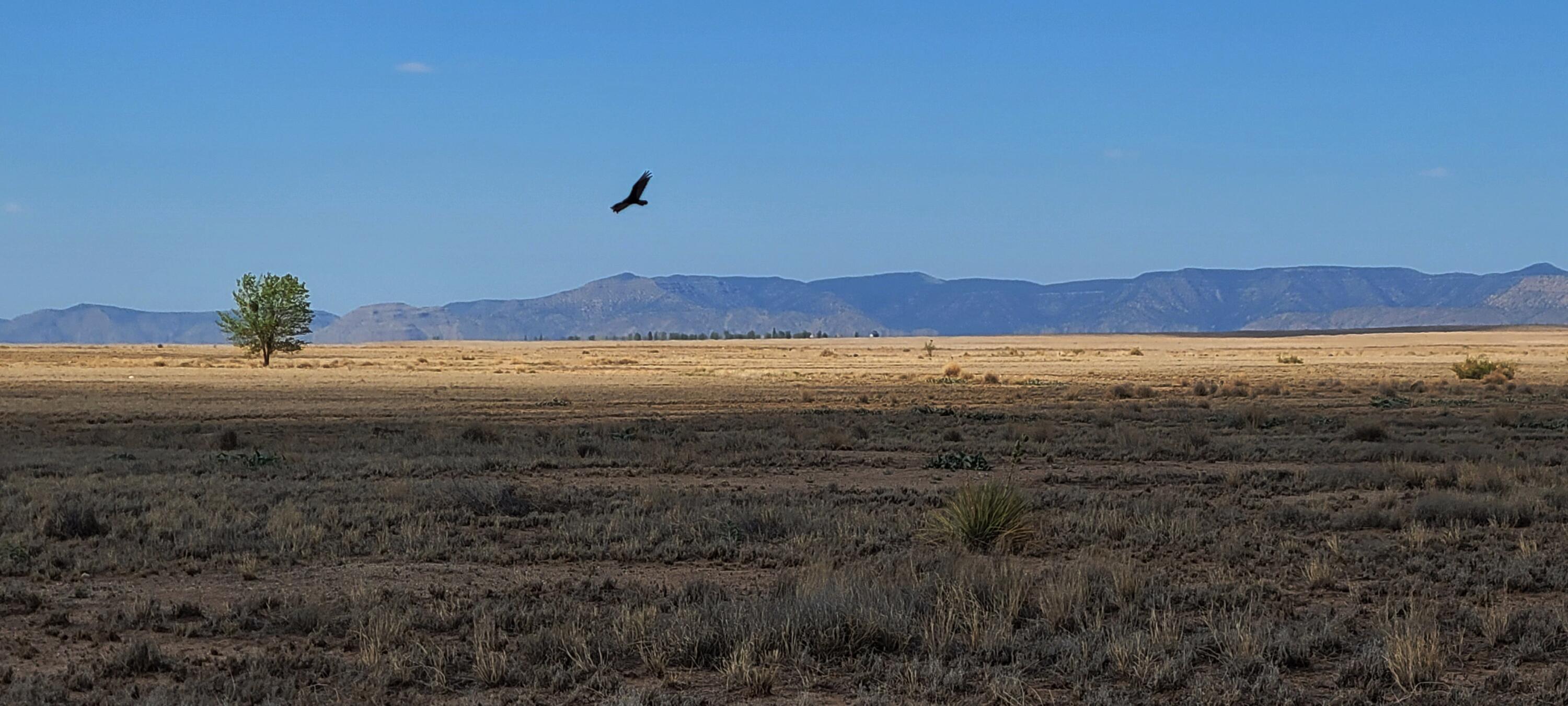 Rio Del Oro Loop N, Los Lunas, New Mexico image 5