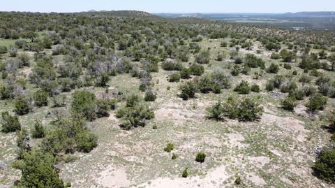 Vacant Land For Sale - LOT 17 Swayback Trail<br/> Corona, NM 88318