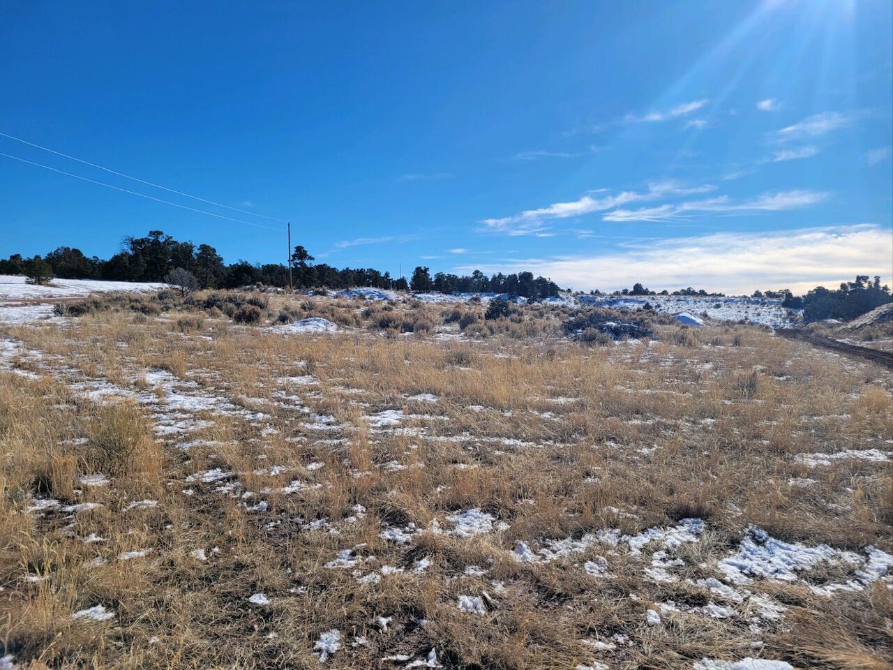 San Jose Trail, Regina, New Mexico image 2