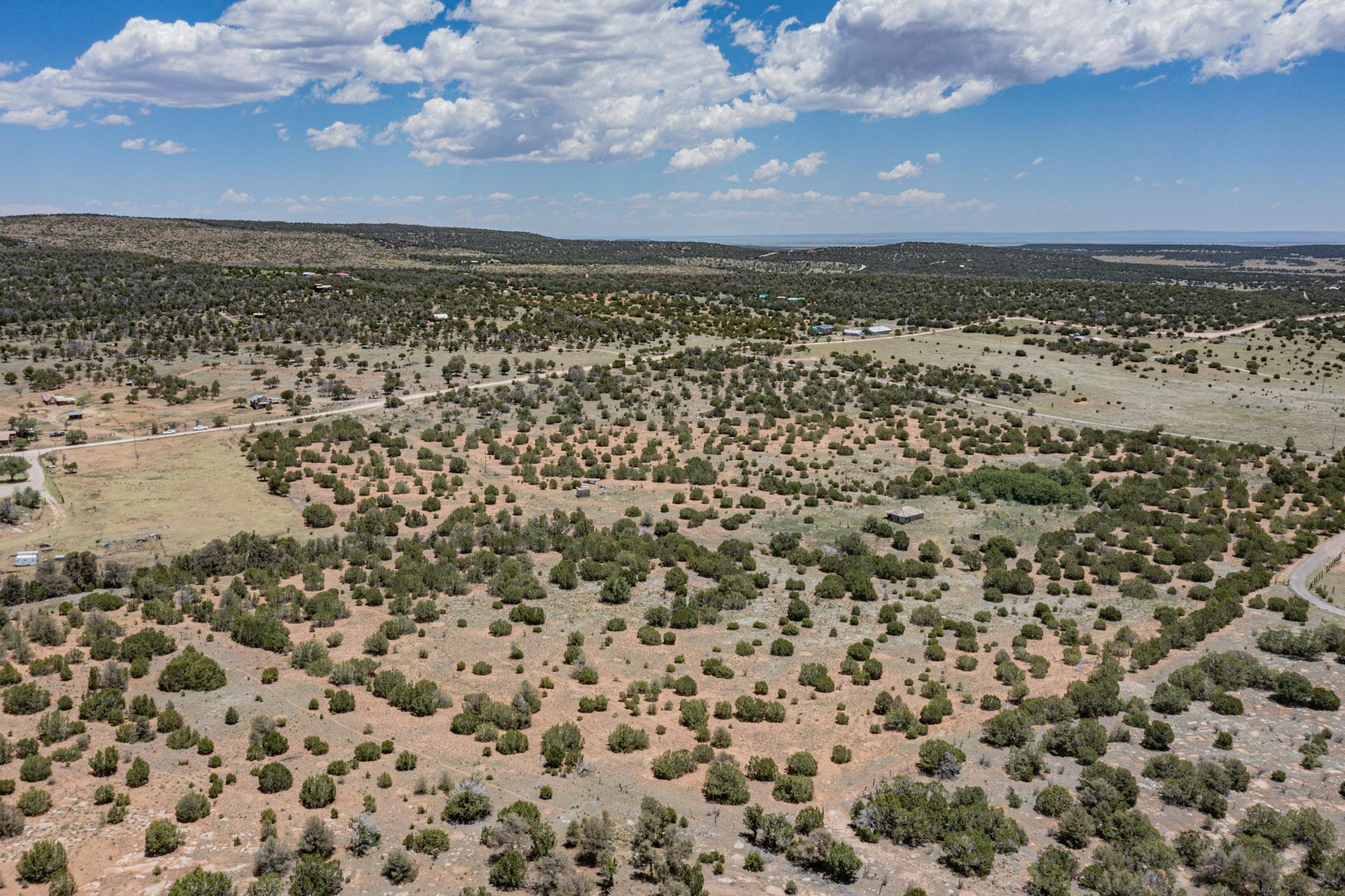 Camino Del Norte, Estancia, New Mexico image 10