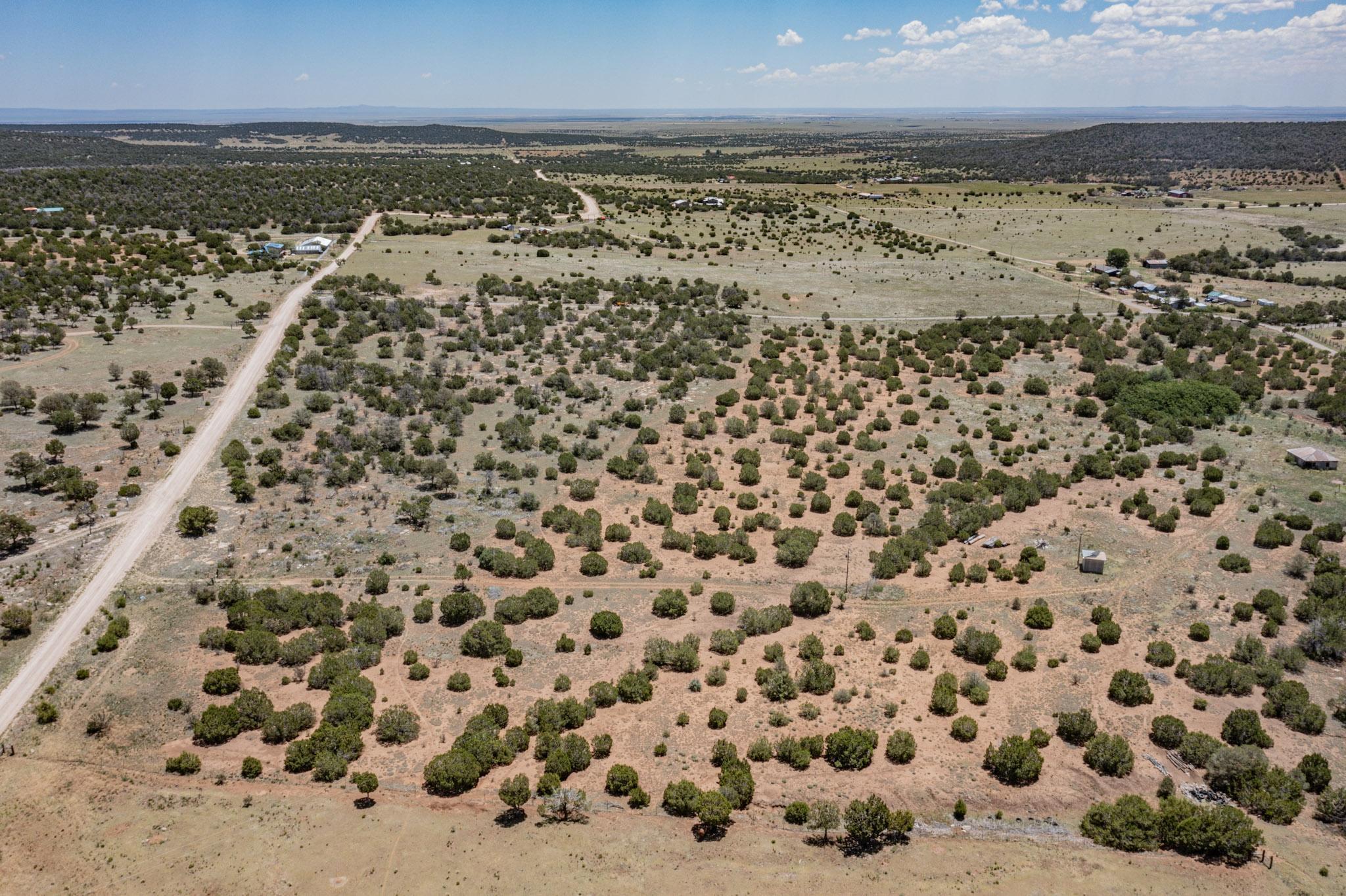 Camino Del Norte, Estancia, New Mexico image 8