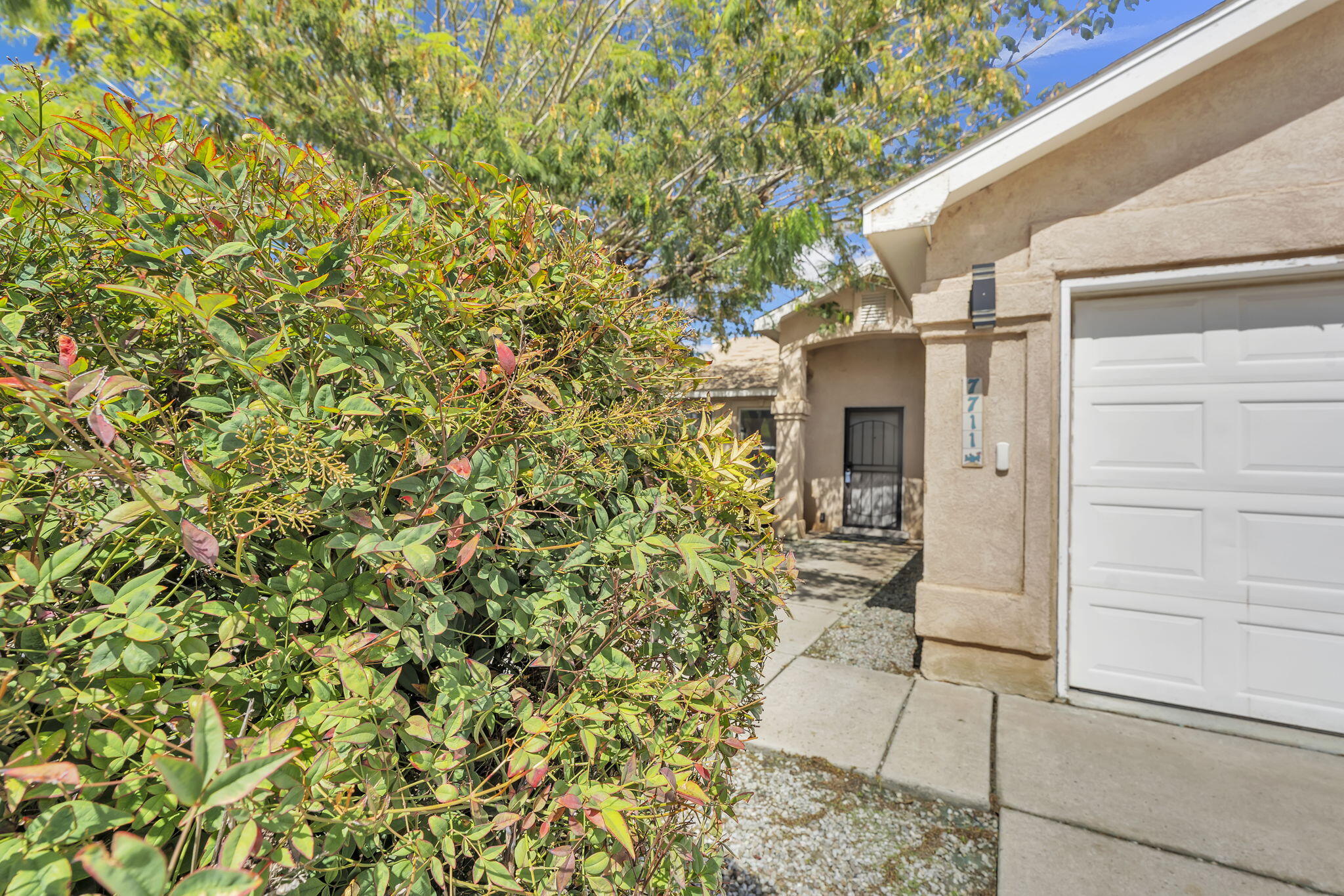 7711 Kane Court NW