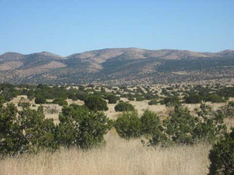 Vacant Land For Sale - LOT 188 Pinon Springs Ranches Rd<br/> Magdalena, NM 87825
