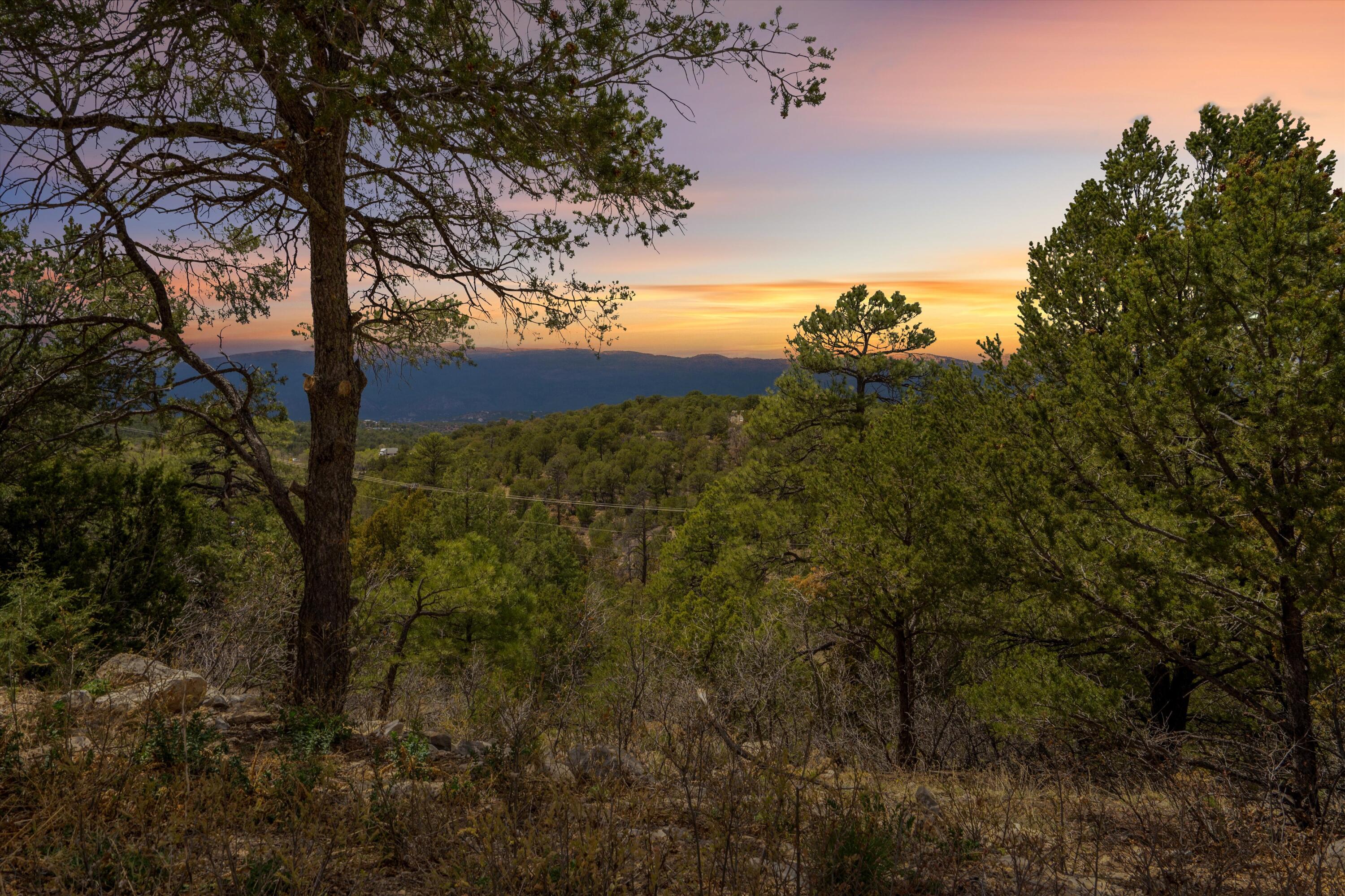 7 Sunset Place, Tijeras, New Mexico image 35