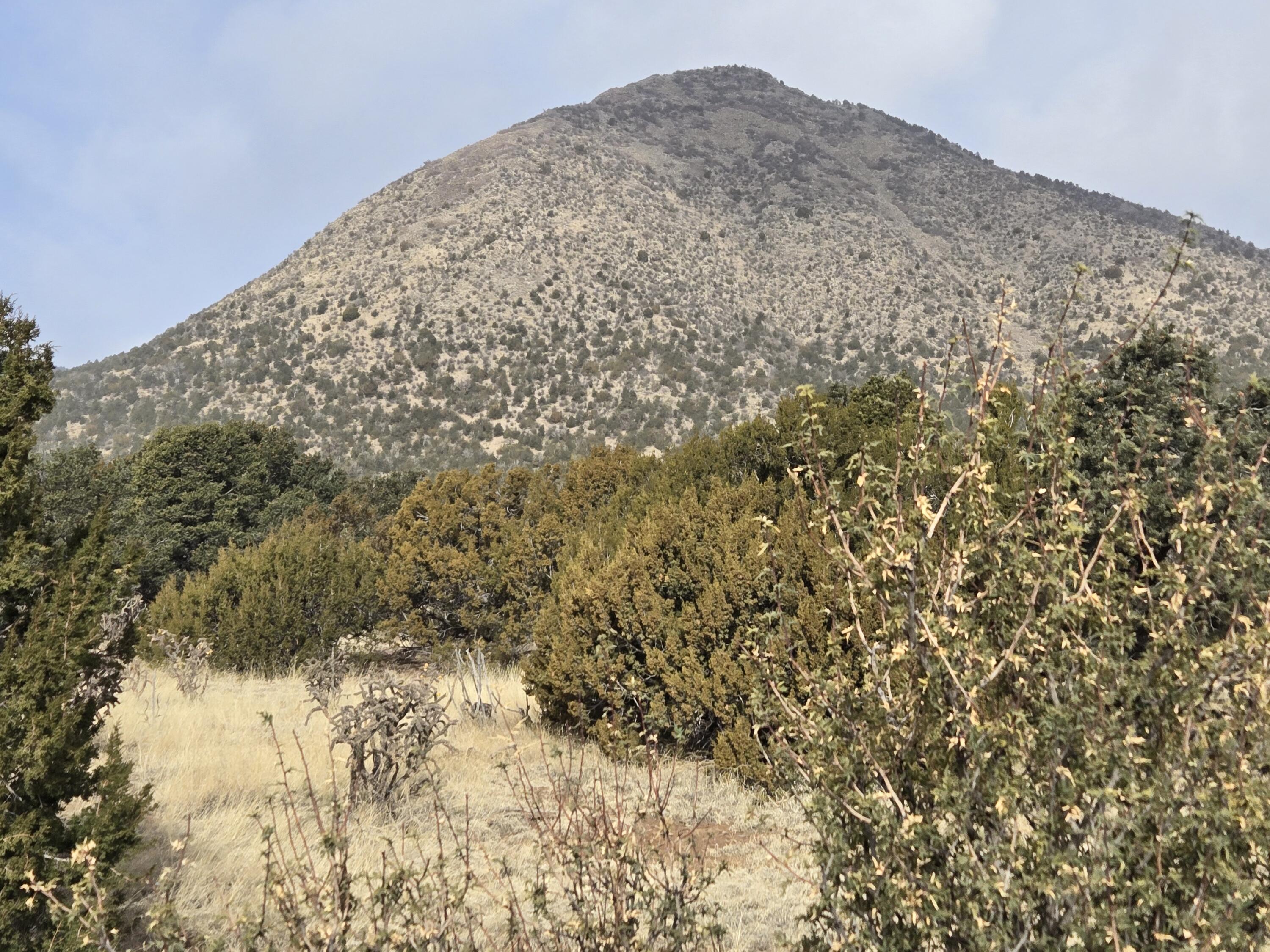 5 Vista Sierra Road, Edgewood, New Mexico image 5