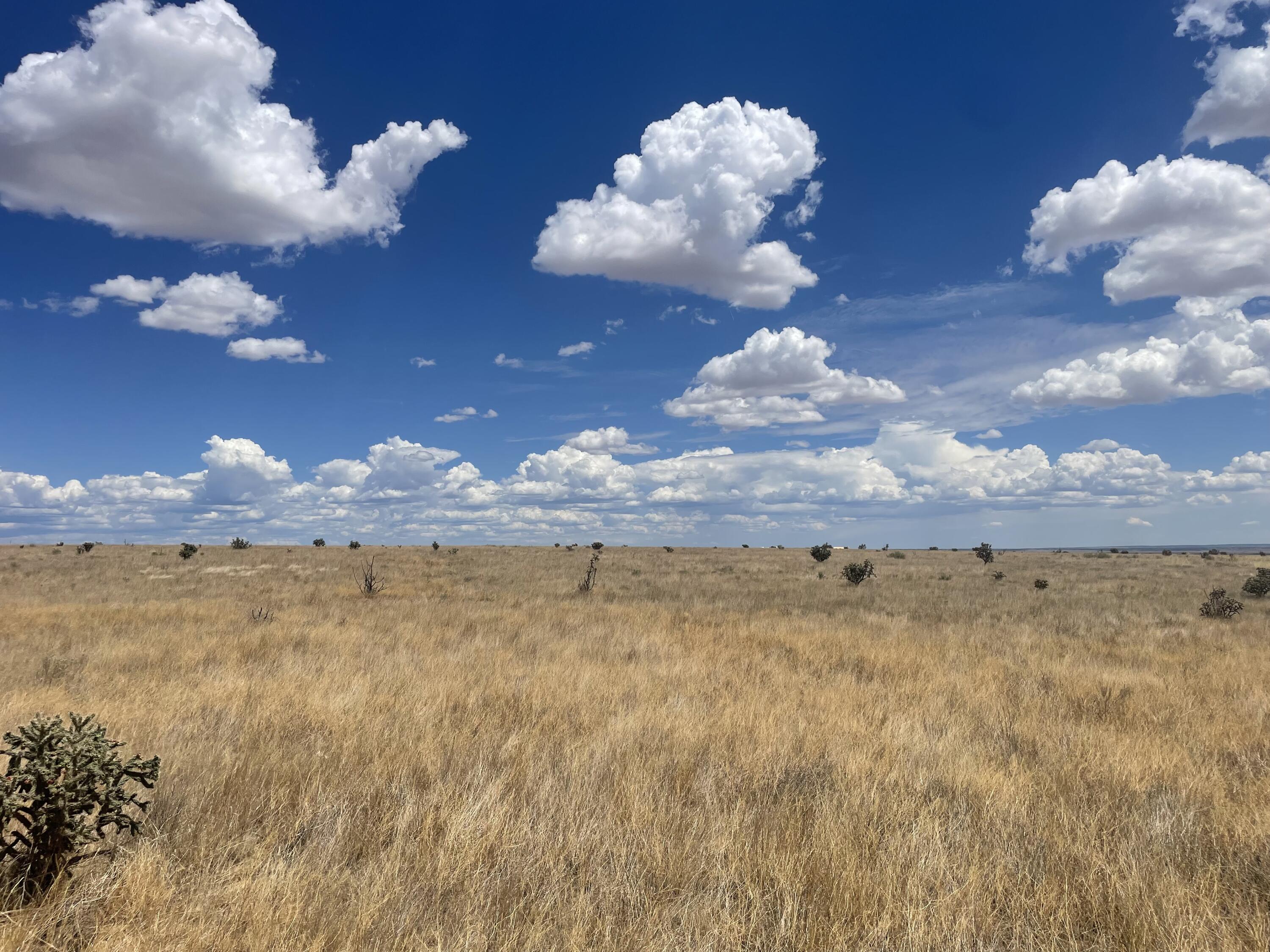 104 N Weimer Road, Edgewood, New Mexico image 4