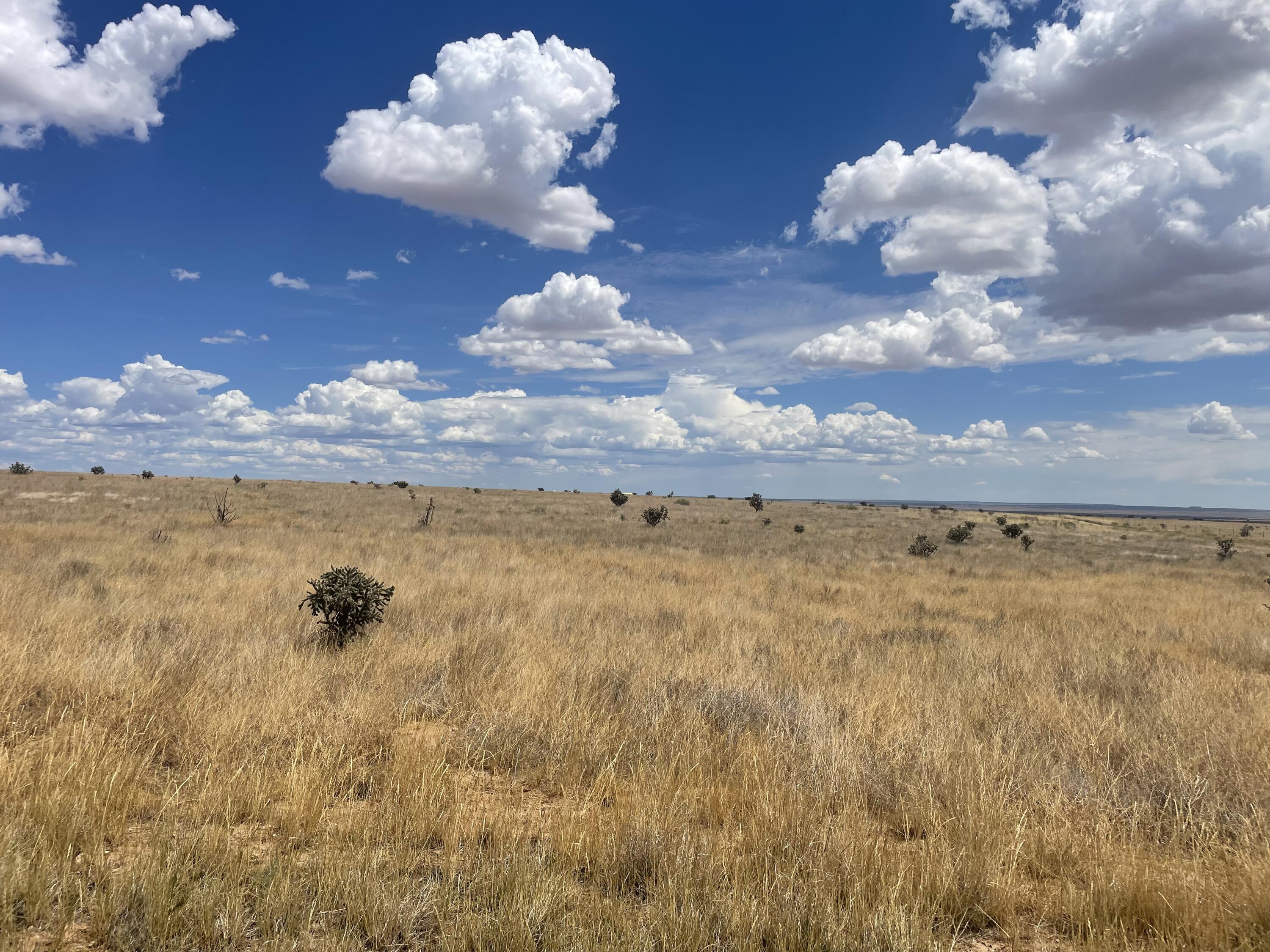 104 N Weimer Road, Edgewood, New Mexico image 1