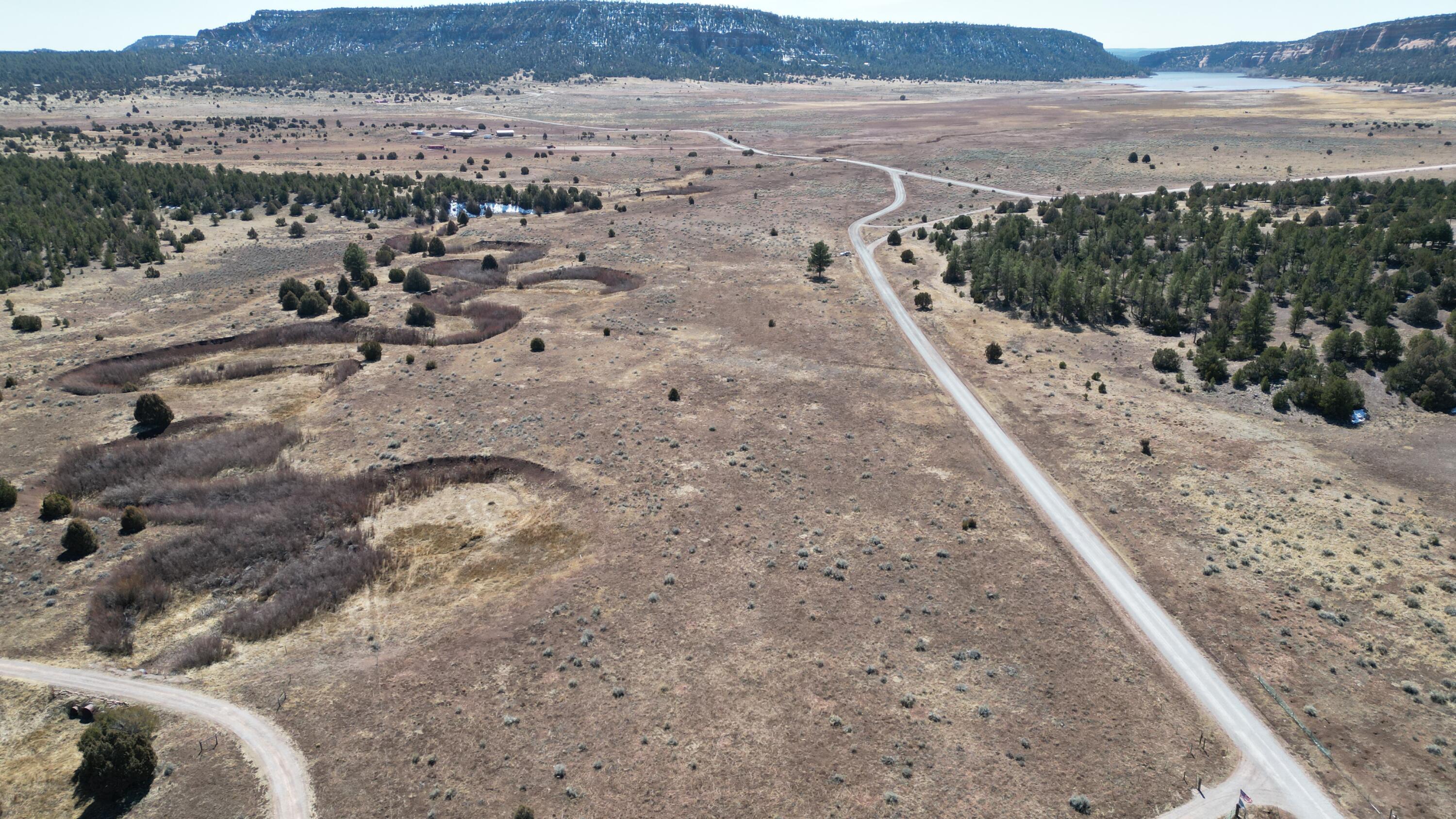 Tract C-1 Forest Road 157, Ramah, New Mexico image 42