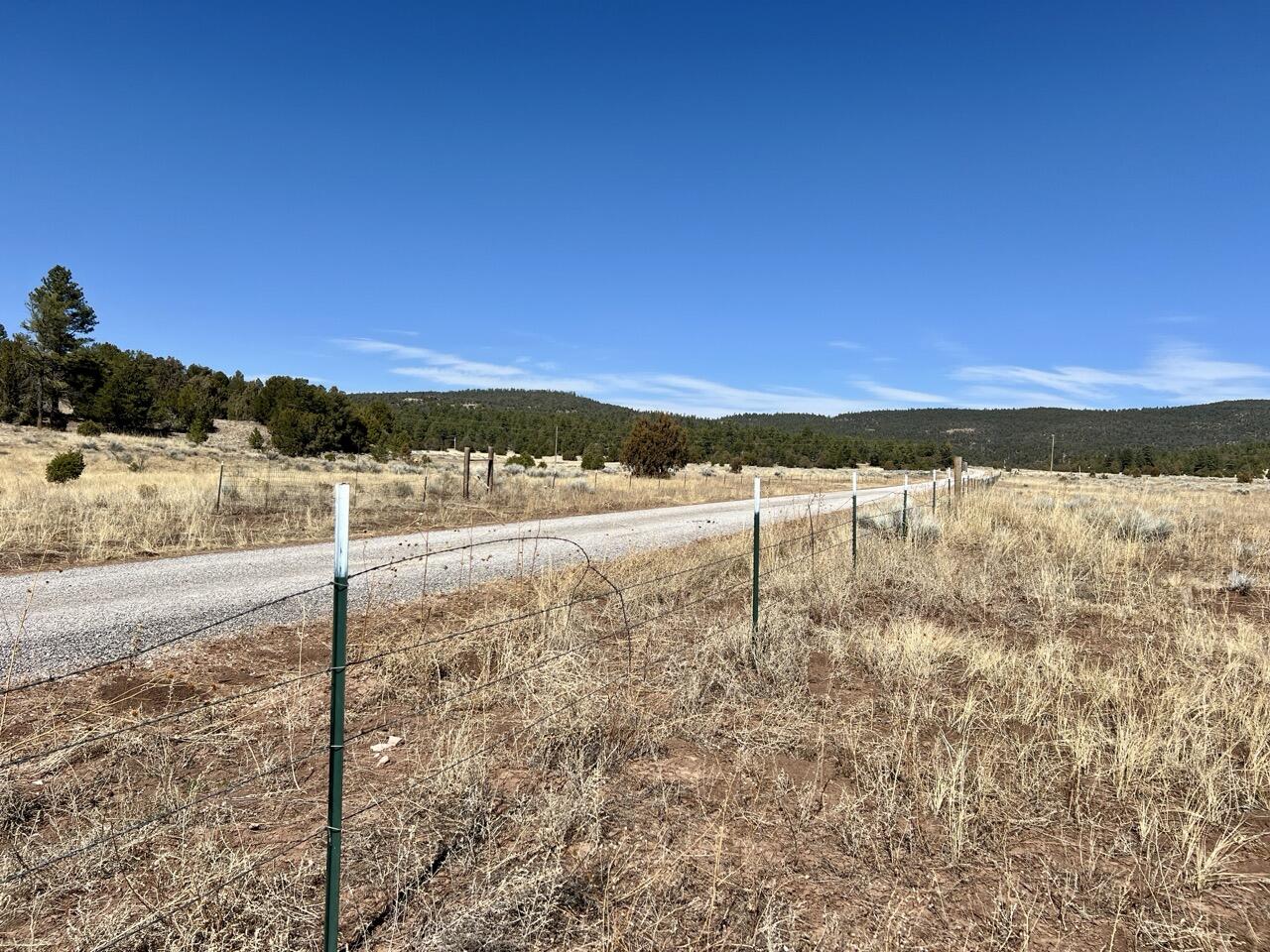 Tract C-1 Forest Road 157, Ramah, New Mexico image 11