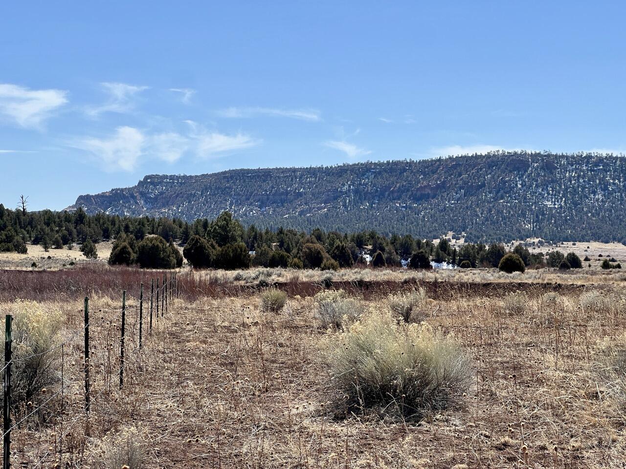 Tract C-1 Forest Road 157, Ramah, New Mexico image 1