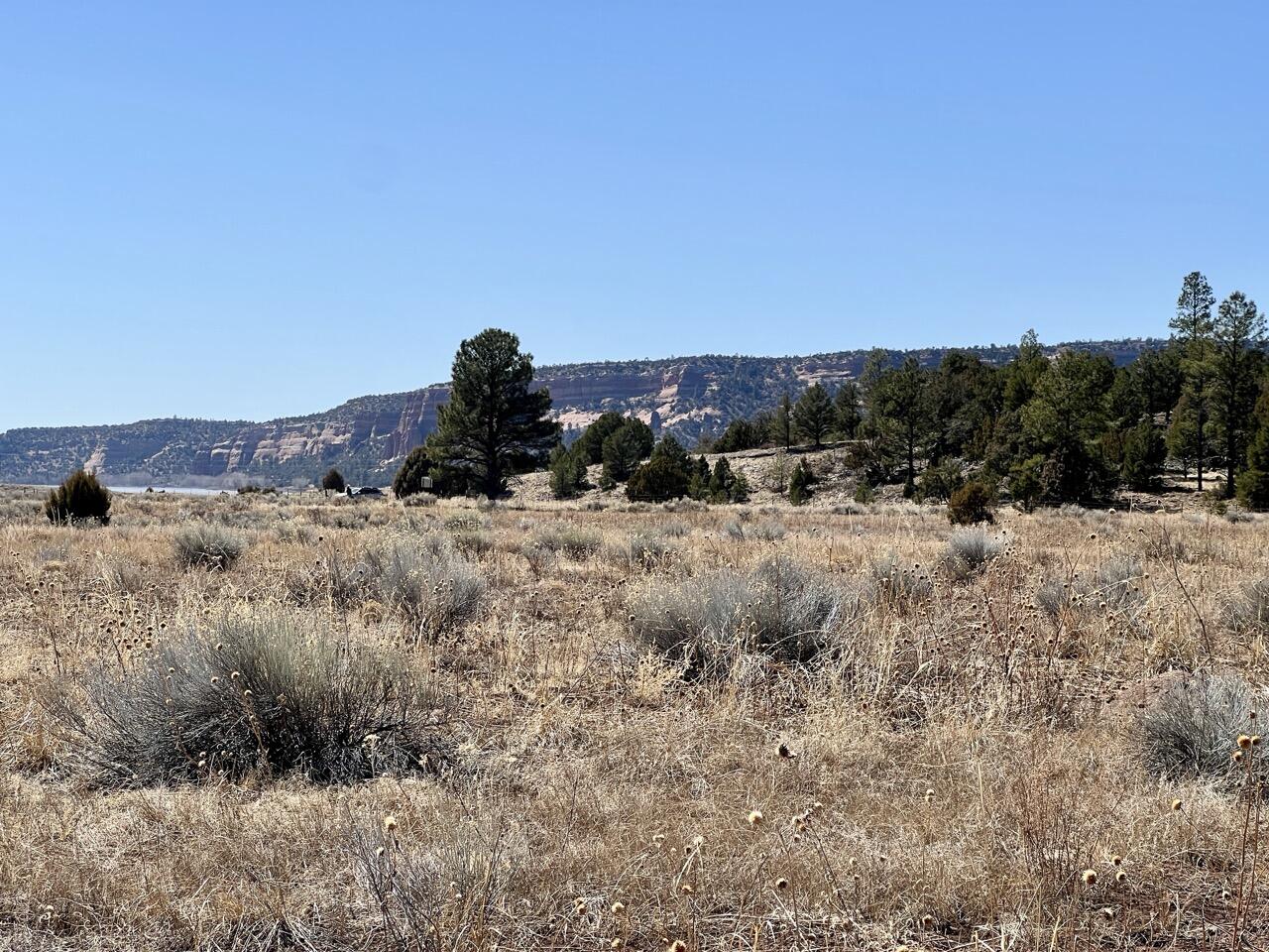 Tract C-1 Forest Road 157, Ramah, New Mexico image 17