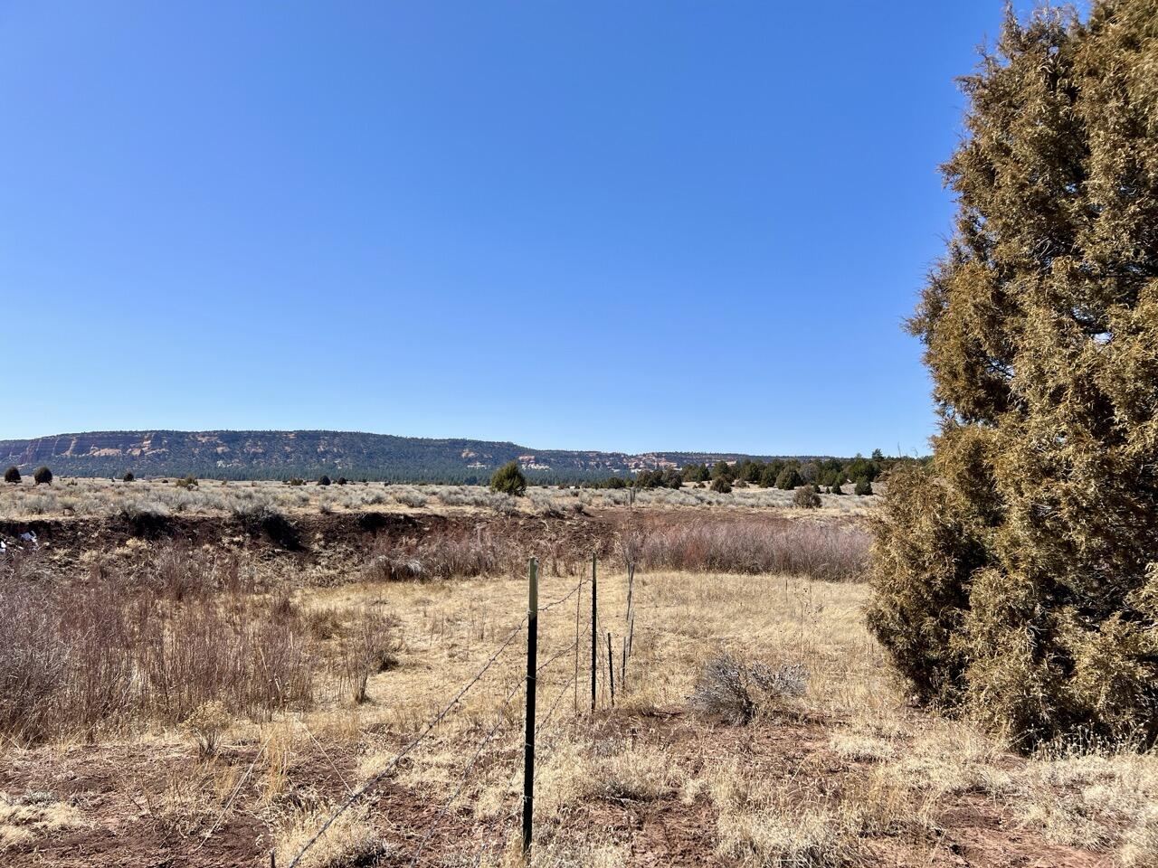 Tract C-1 Forest Road 157, Ramah, New Mexico image 30