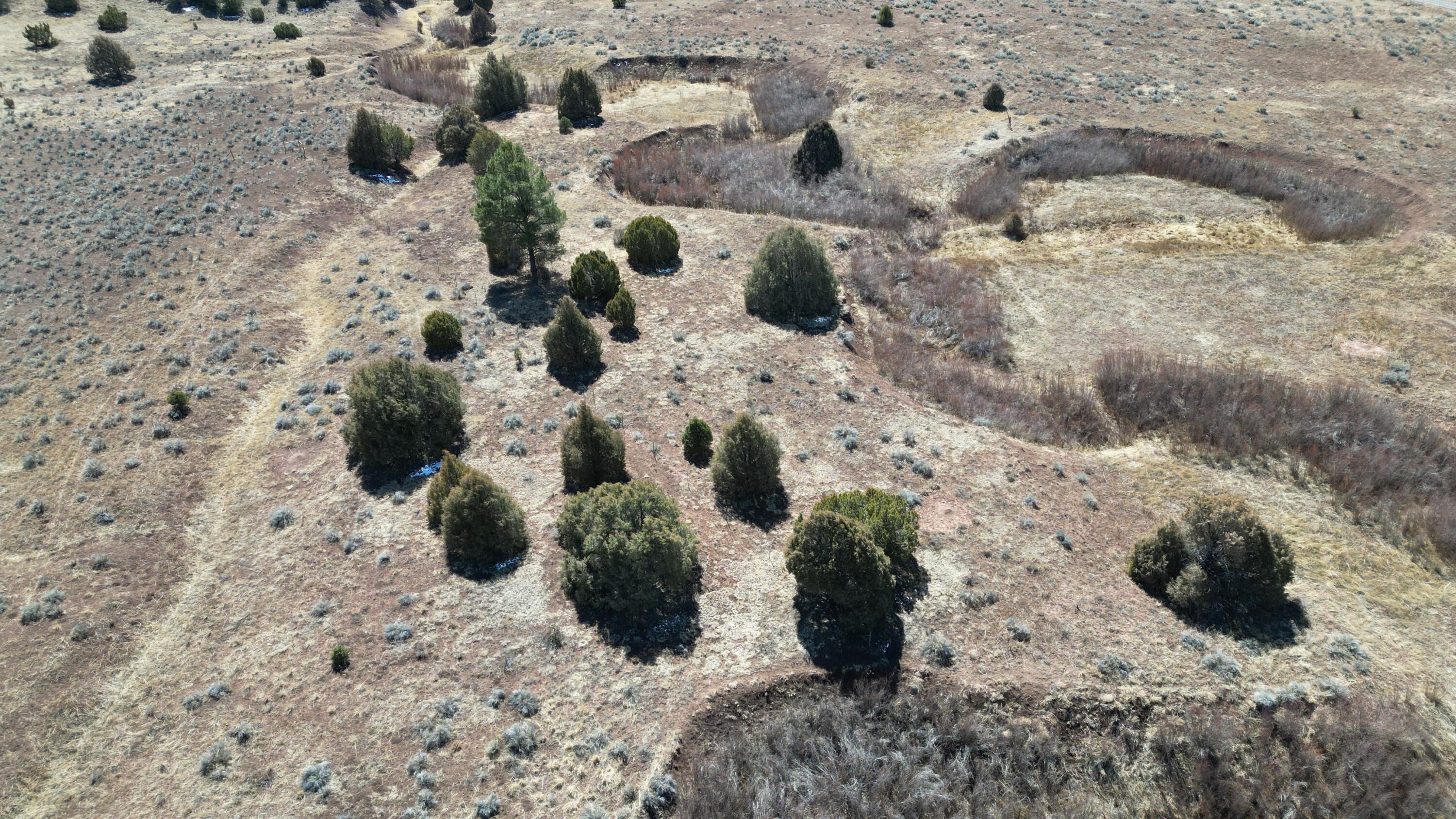 Tract C-1 Forest Road 157, Ramah, New Mexico image 47