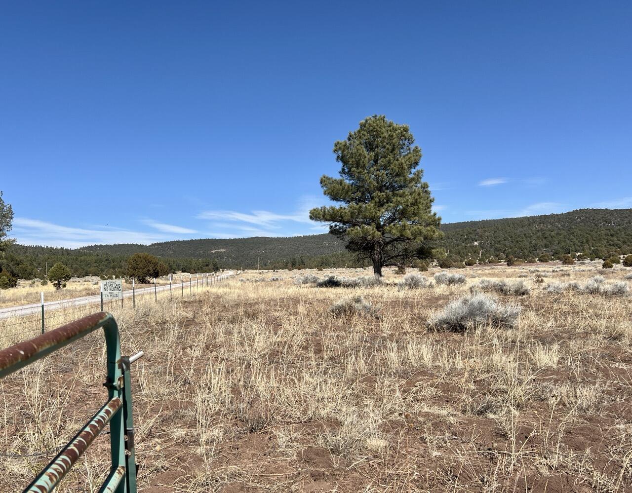 Tract C-1 Forest Road 157, Ramah, New Mexico image 6