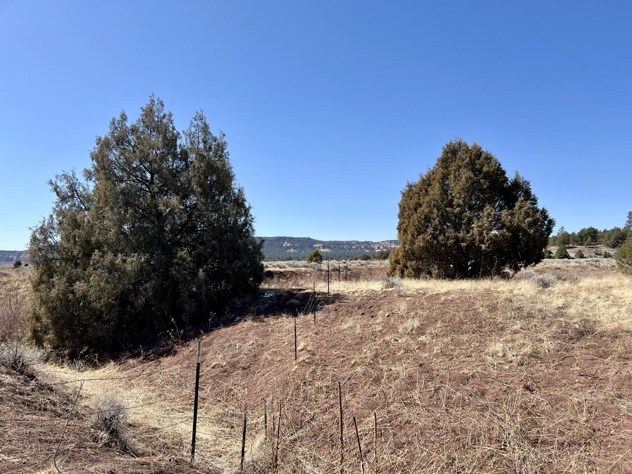 Tract C-1 Forest Road 157, Ramah, New Mexico image 29