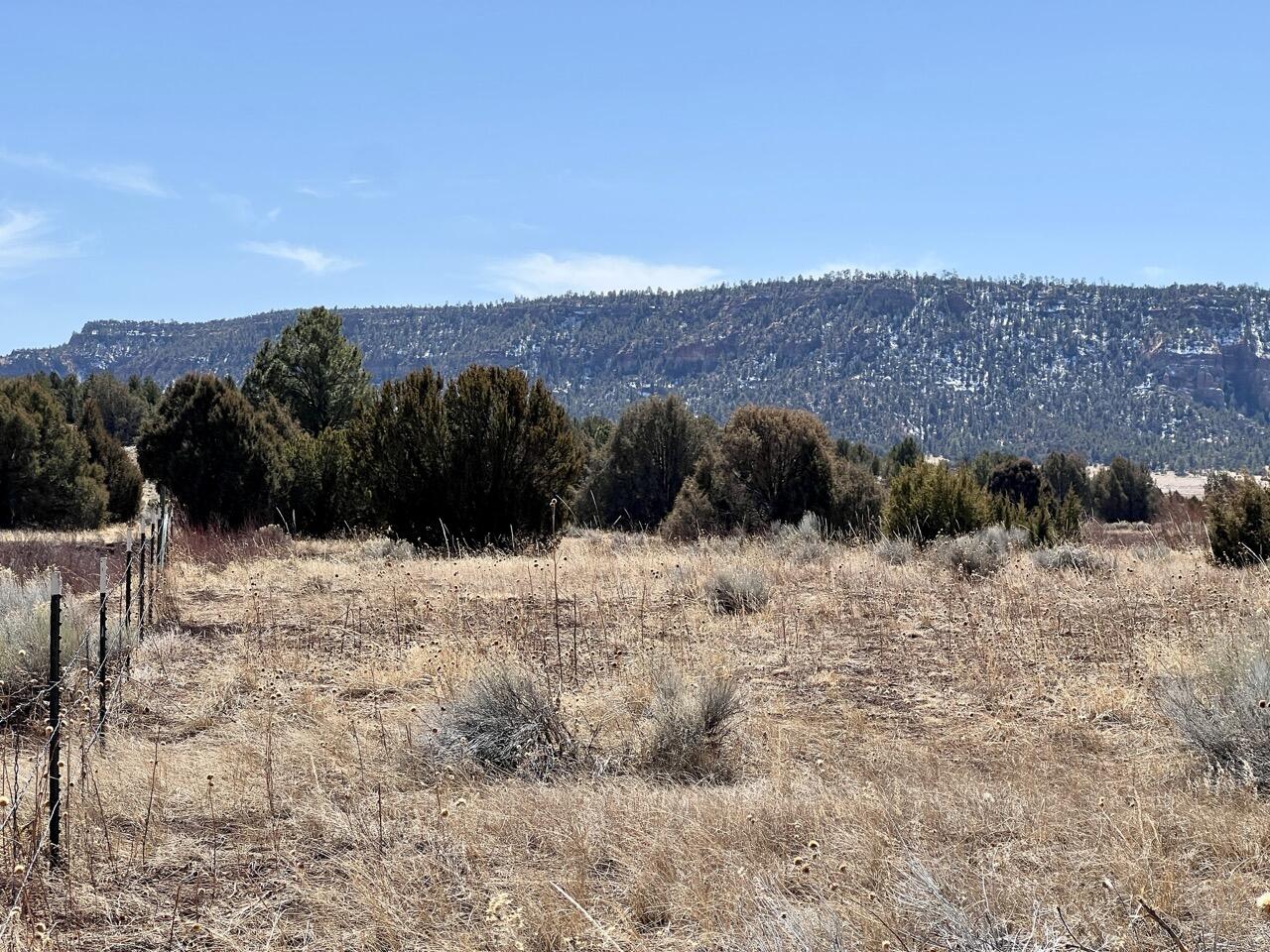 Tract C-1 Forest Road 157, Ramah, New Mexico image 19