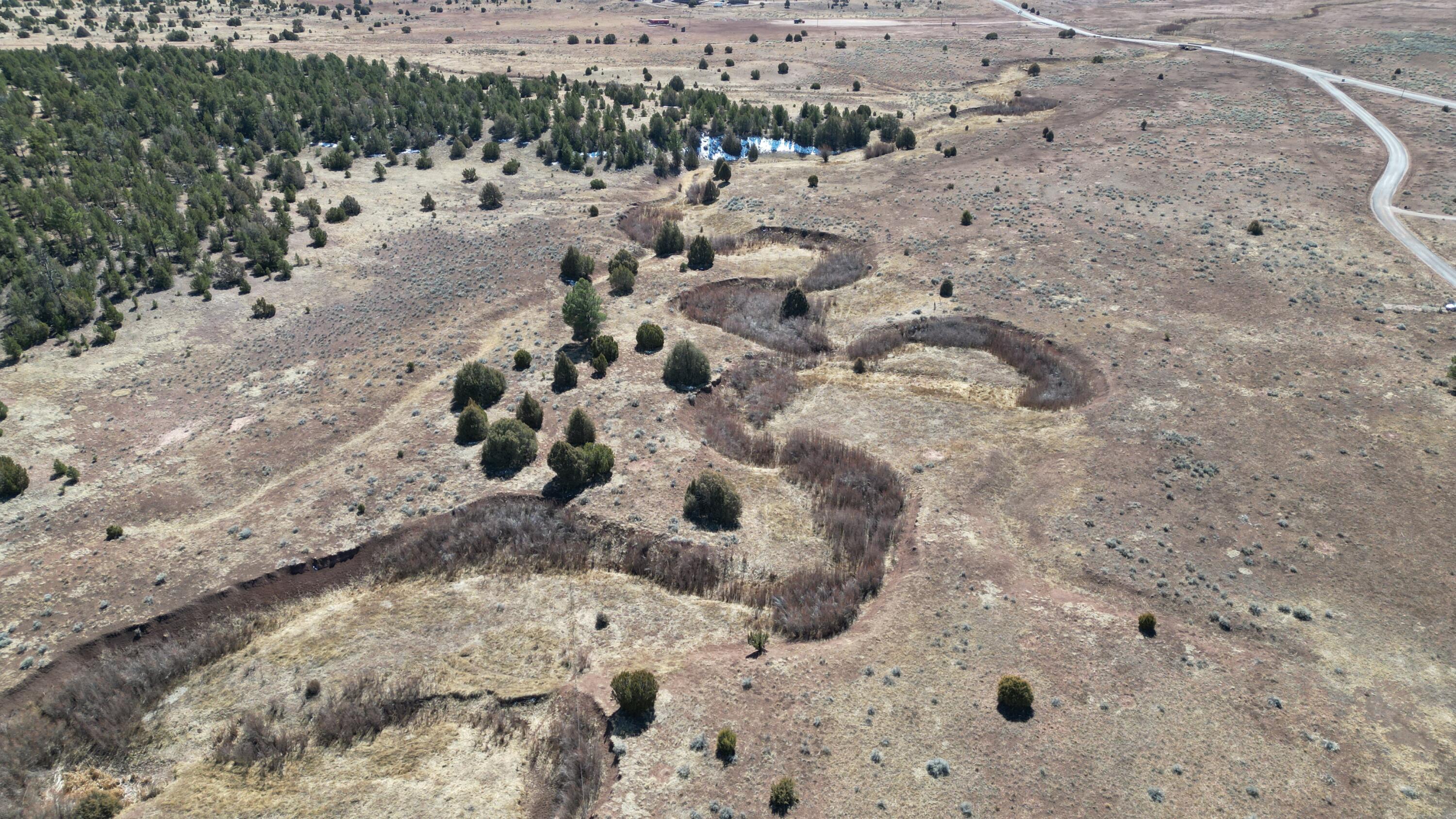 Tract C-1 Forest Road 157, Ramah, New Mexico image 43