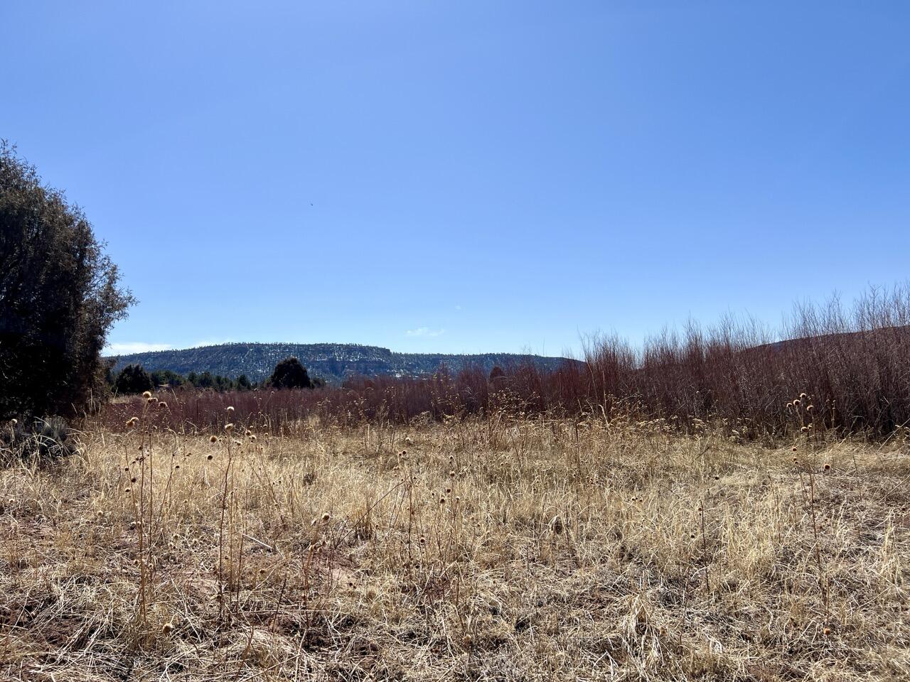 Tract C-1 Forest Road 157, Ramah, New Mexico image 21