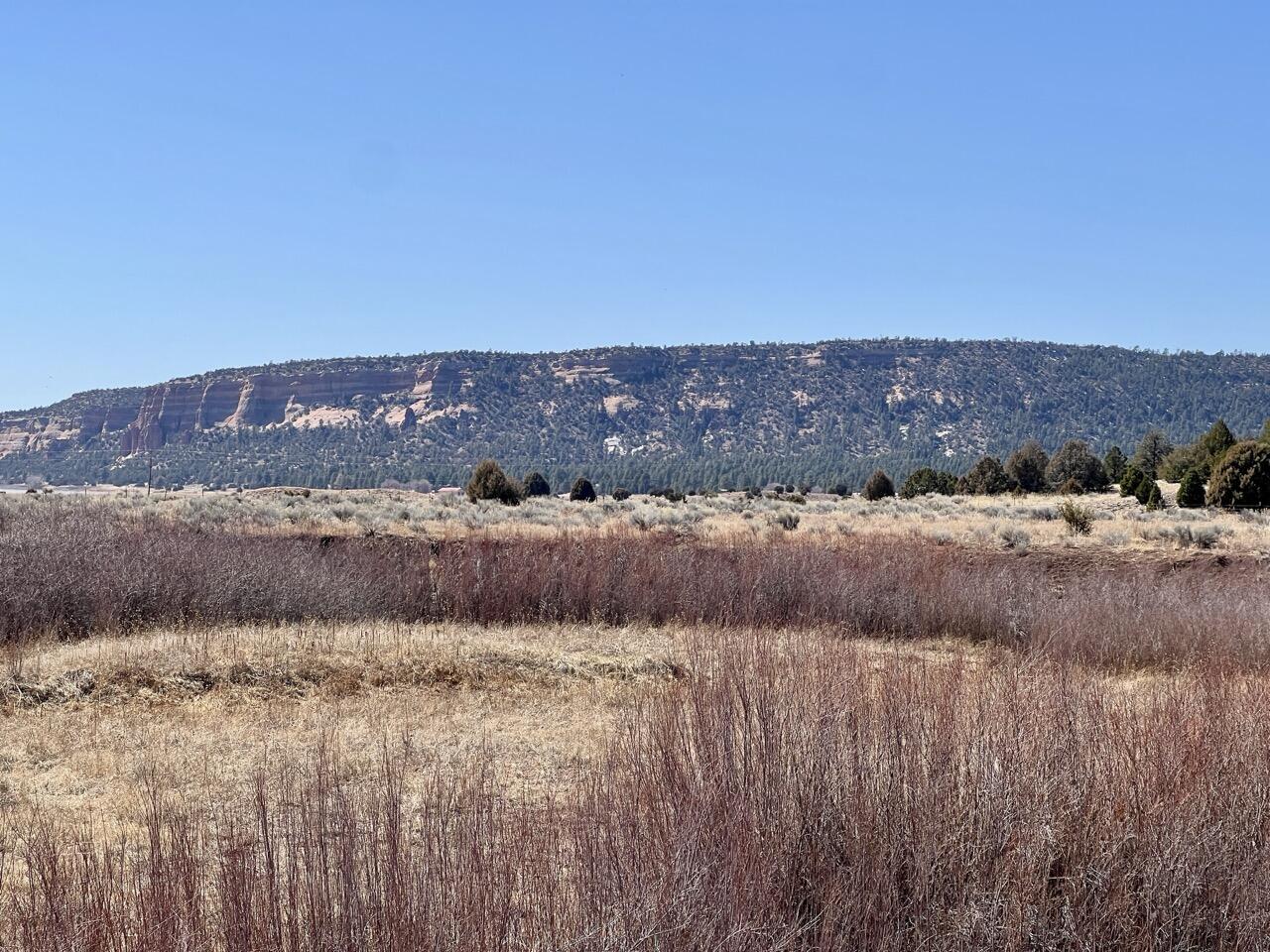 Tract C-1 Forest Road 157, Ramah, New Mexico image 22