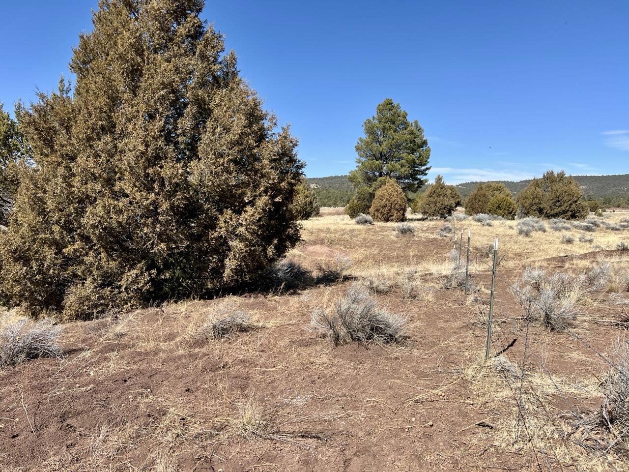 Tract C-1 Forest Road 157, Ramah, New Mexico image 28