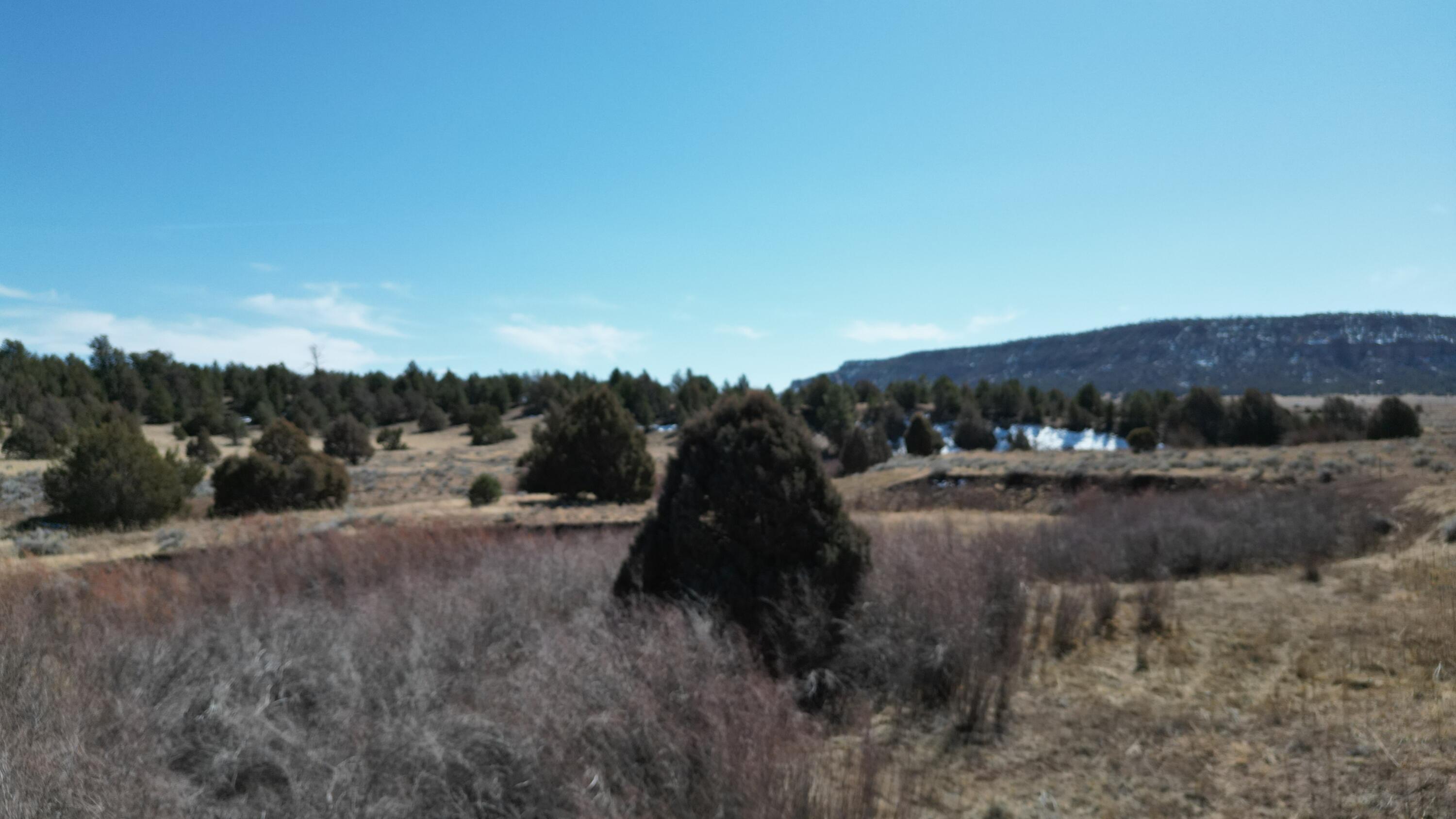 Tract C-1 Forest Road 157, Ramah, New Mexico image 45