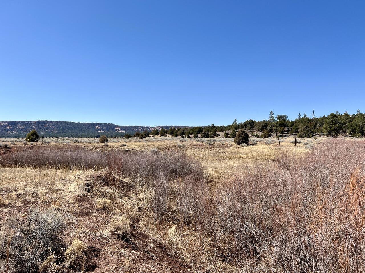 Tract C-1 Forest Road 157, Ramah, New Mexico image 33