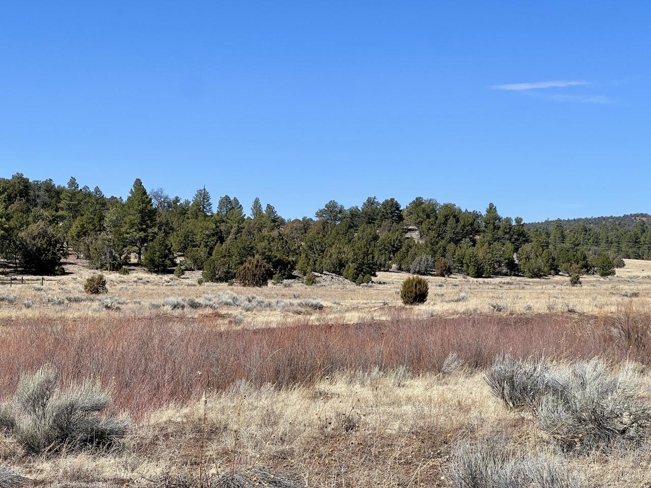 Tract C-1 Forest Road 157, Ramah, New Mexico image 25
