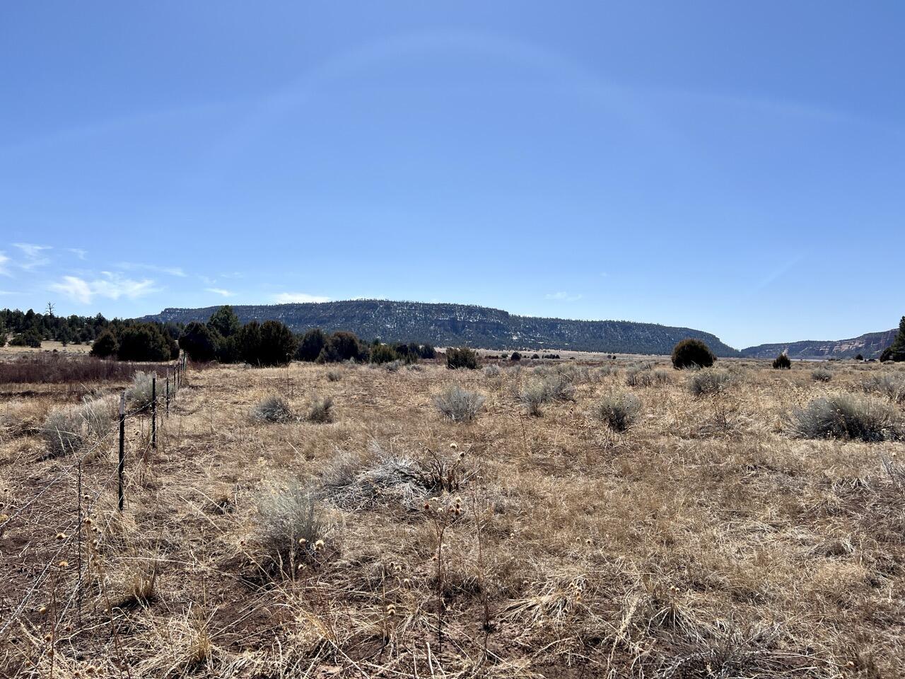 Tract C-1 Forest Road 157, Ramah, New Mexico image 20