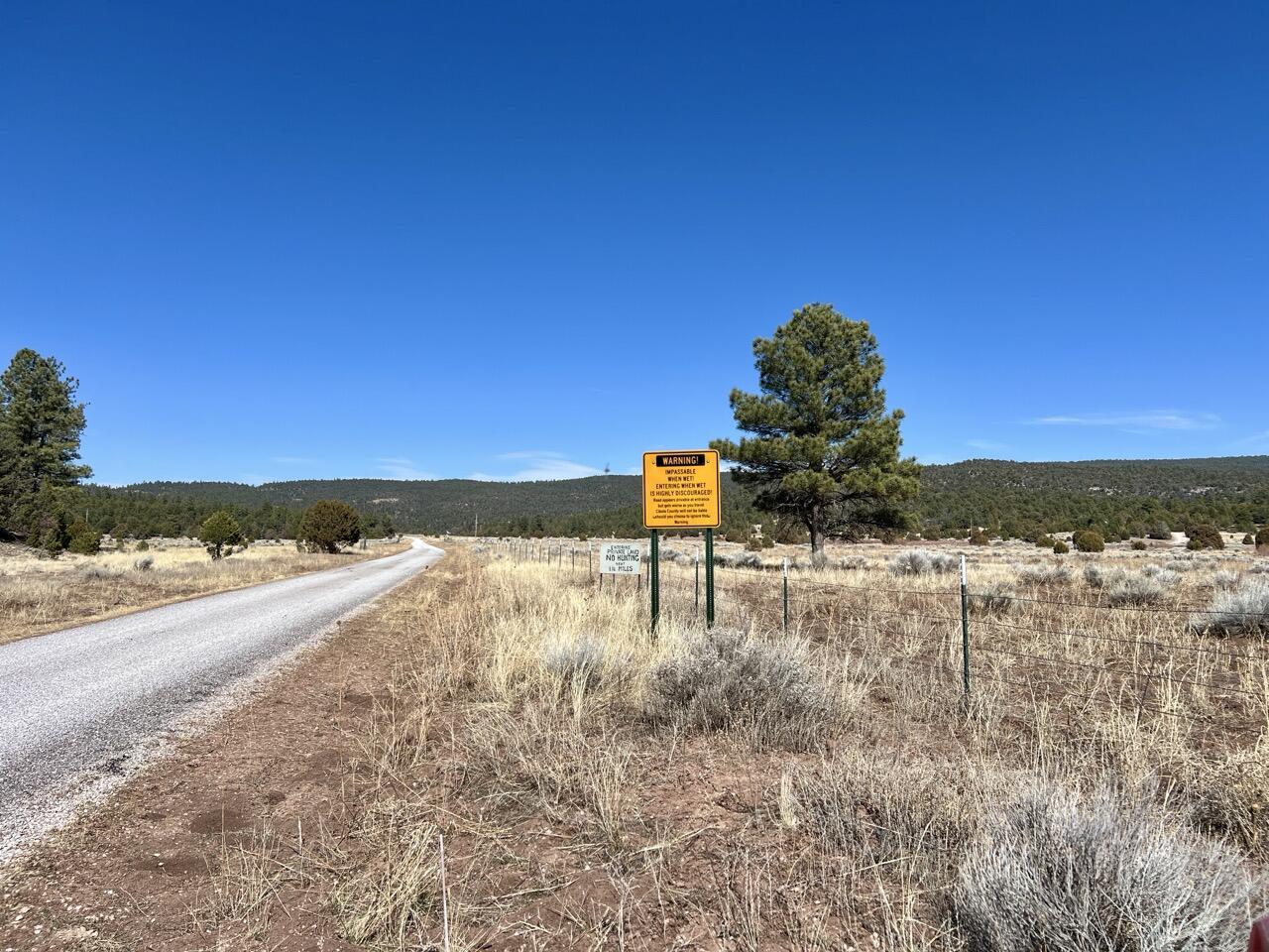 Tract C-1 Forest Road 157, Ramah, New Mexico image 37