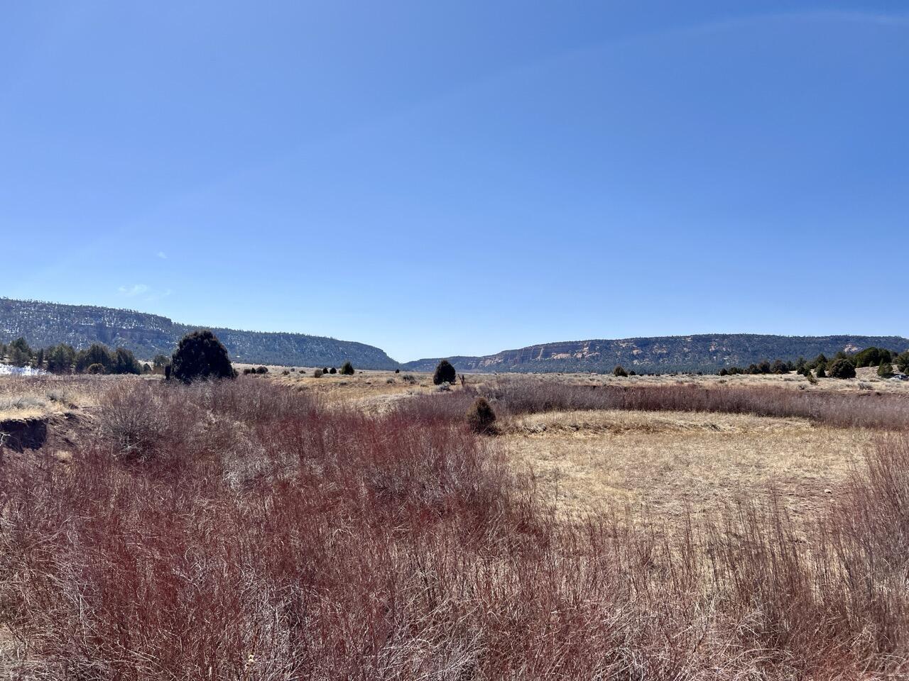Tract C-1 Forest Road 157, Ramah, New Mexico image 34