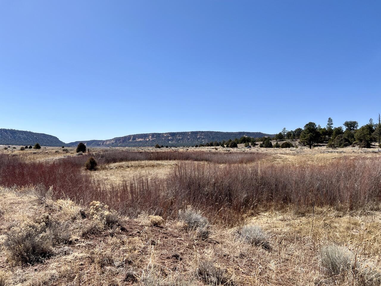 Tract C-1 Forest Road 157, Ramah, New Mexico image 23