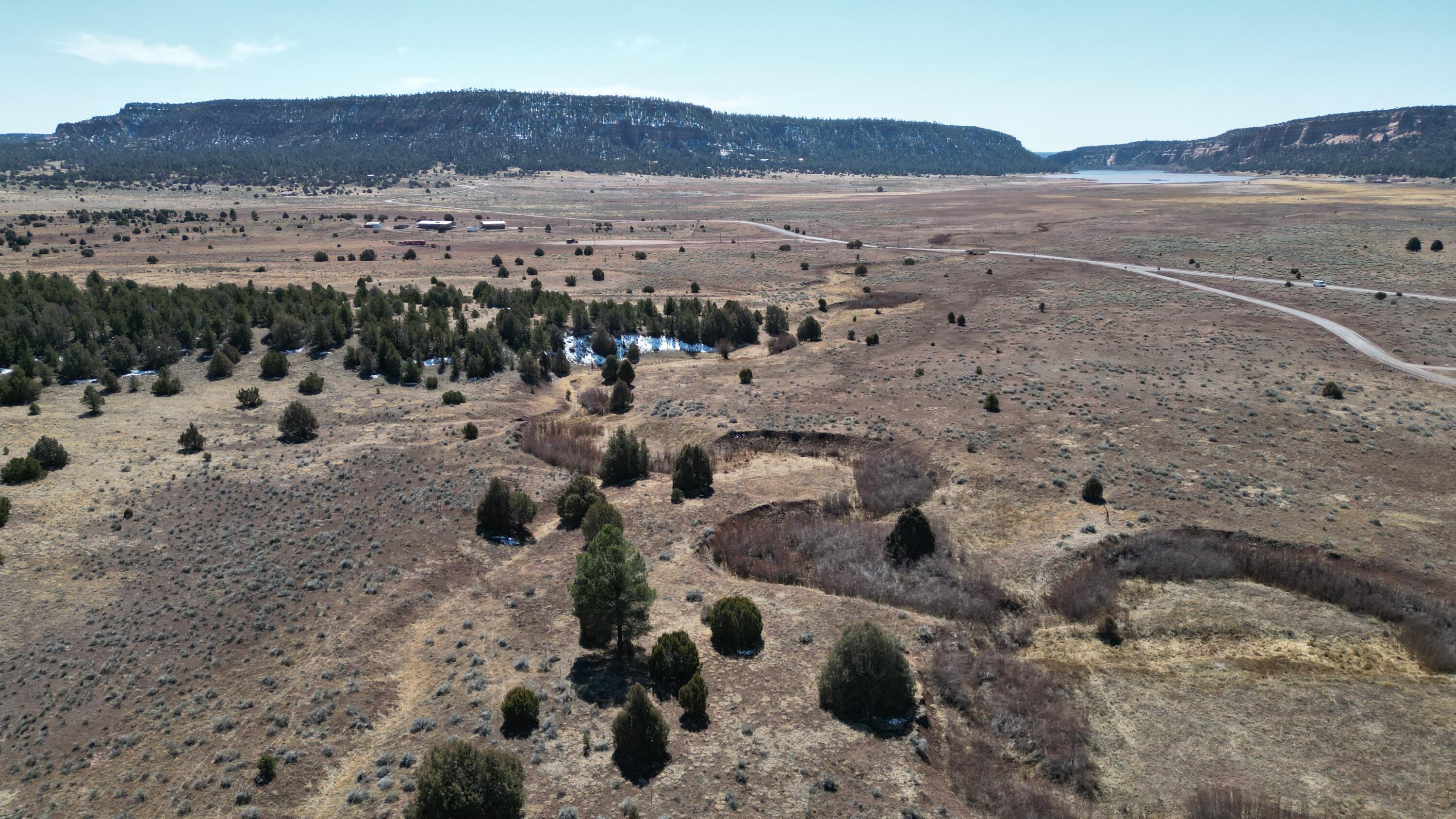 Tract C-1 Forest Road 157, Ramah, New Mexico image 46