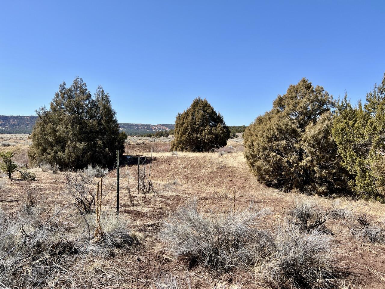 Tract C-1 Forest Road 157, Ramah, New Mexico image 27