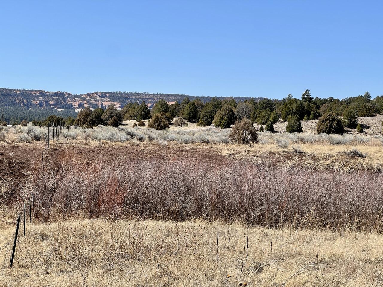 Tract C-1 Forest Road 157, Ramah, New Mexico image 32