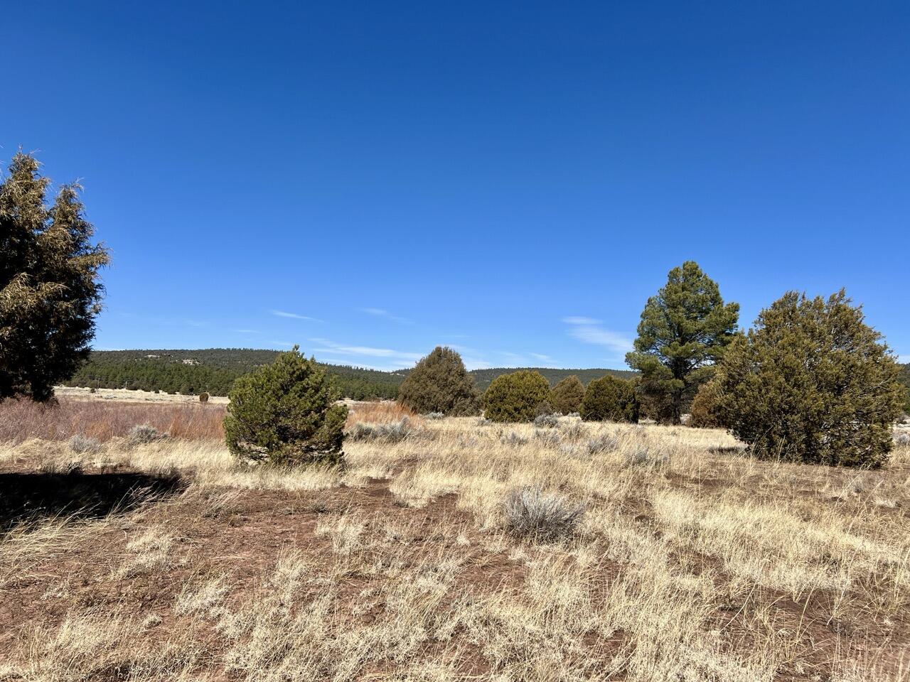 Tract C-1 Forest Road 157, Ramah, New Mexico image 31