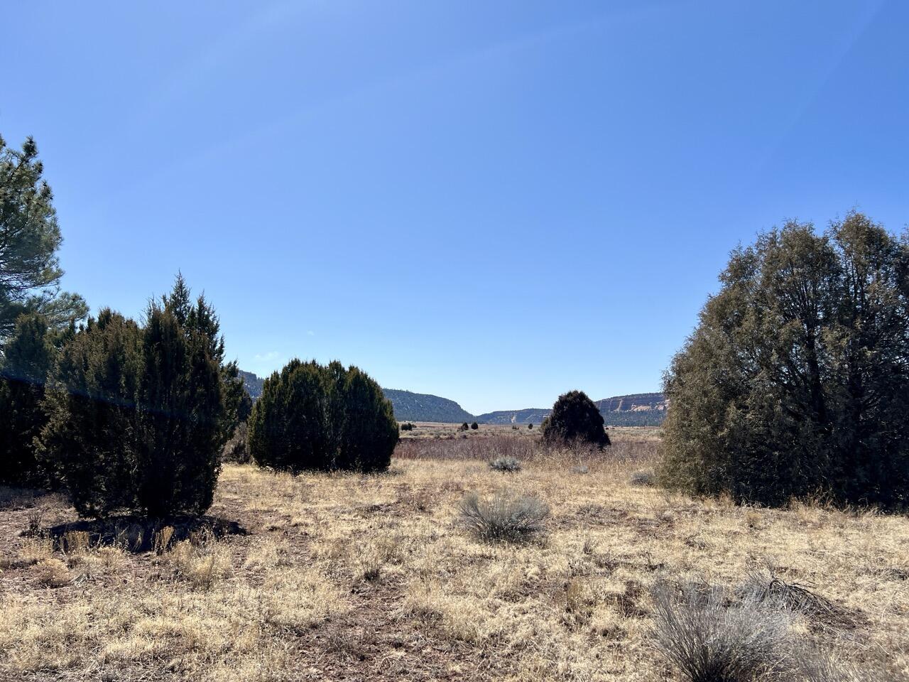 Tract C-1 Forest Road 157, Ramah, New Mexico image 24