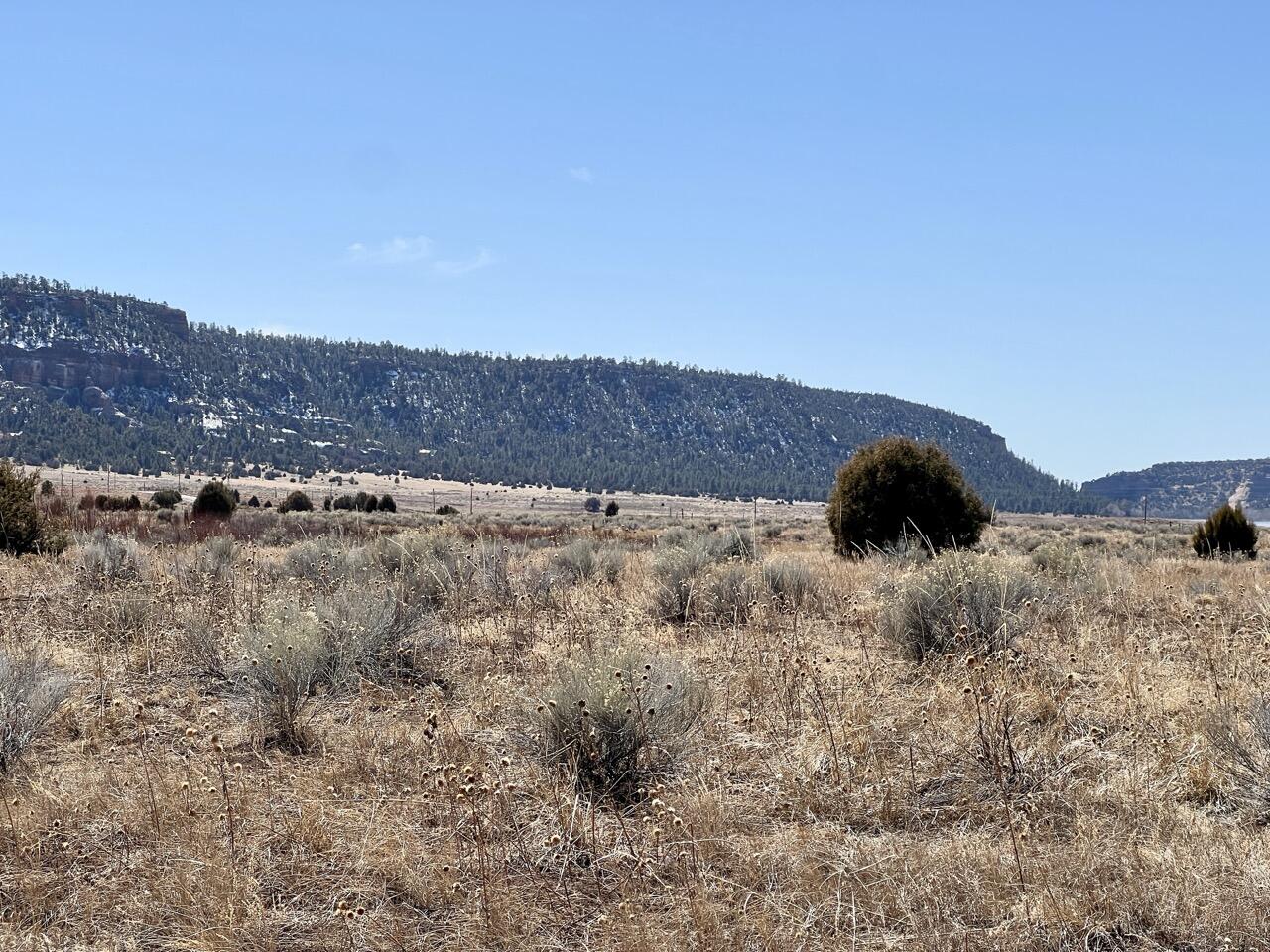 Tract C-1 Forest Road 157, Ramah, New Mexico image 18