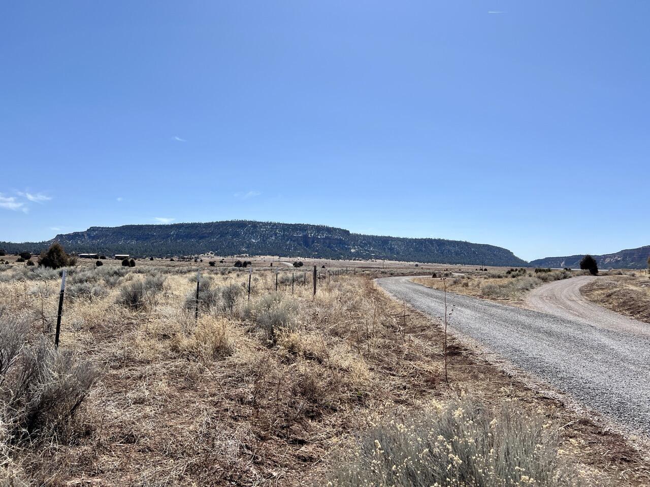 Tract C-1 Forest Road 157, Ramah, New Mexico image 38