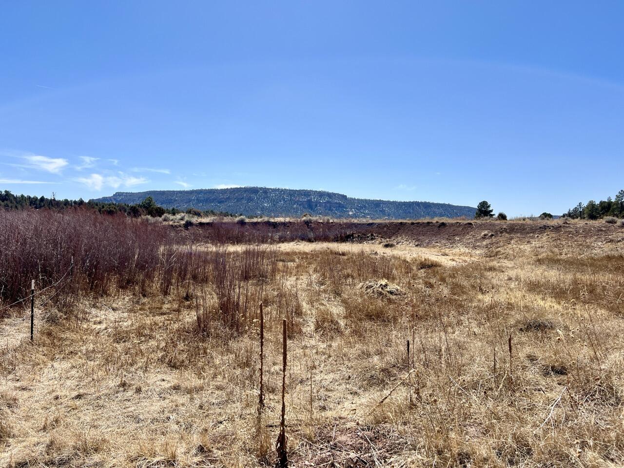 Tract C-1 Forest Road 157, Ramah, New Mexico image 15