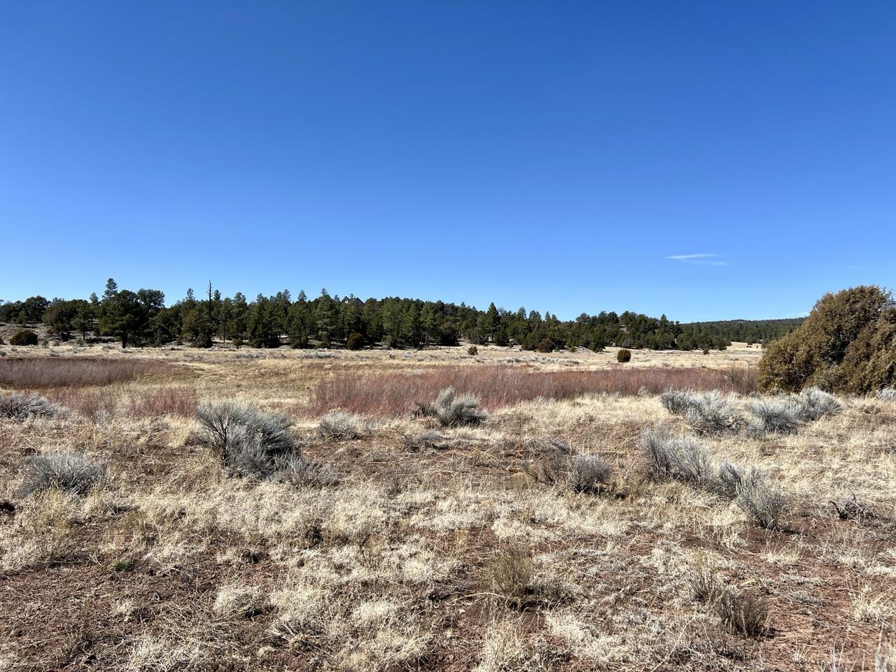 Tract C-1 Forest Road 157, Ramah, New Mexico image 26