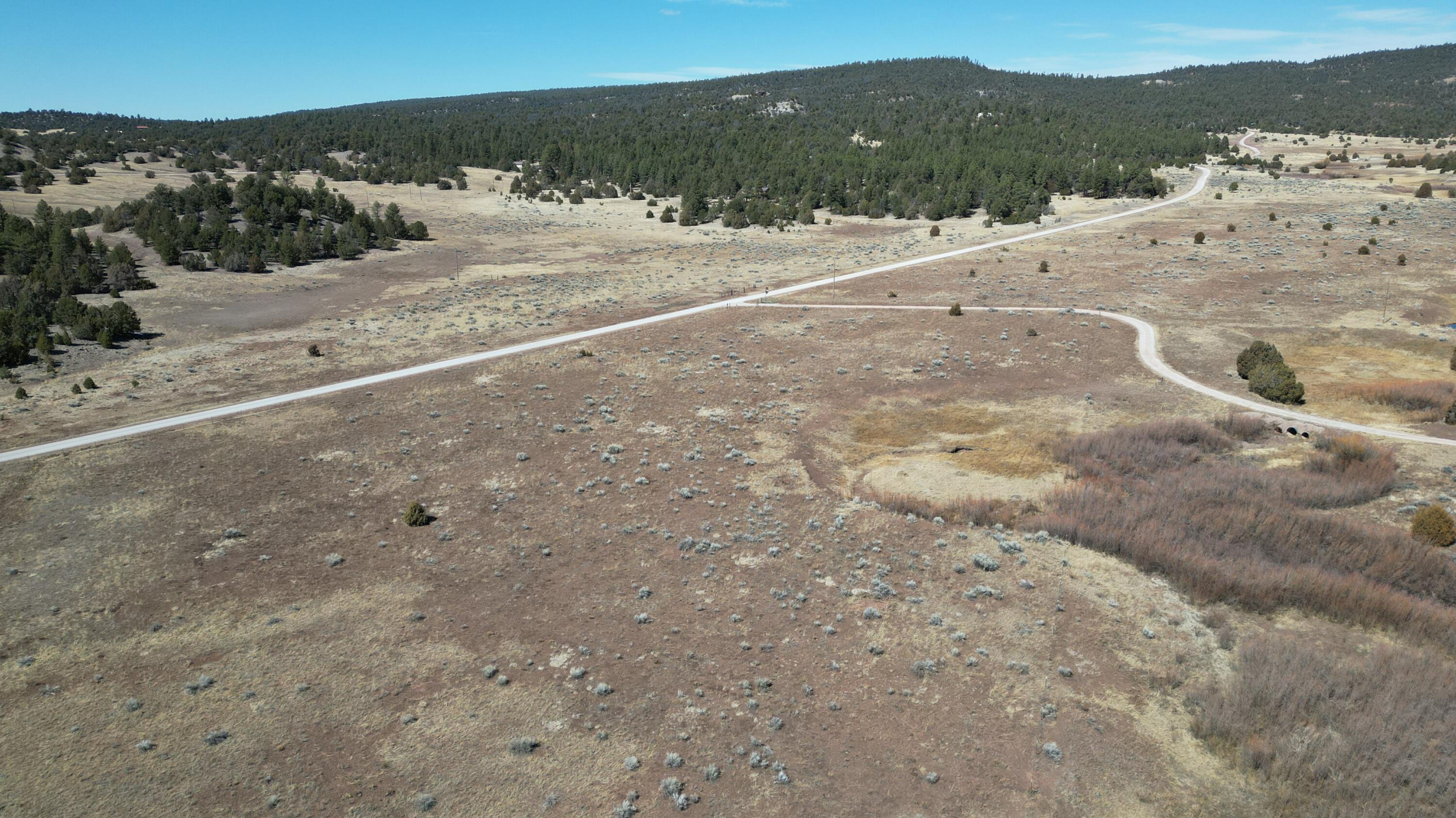 Tract C-1 Forest Road 157, Ramah, New Mexico image 50