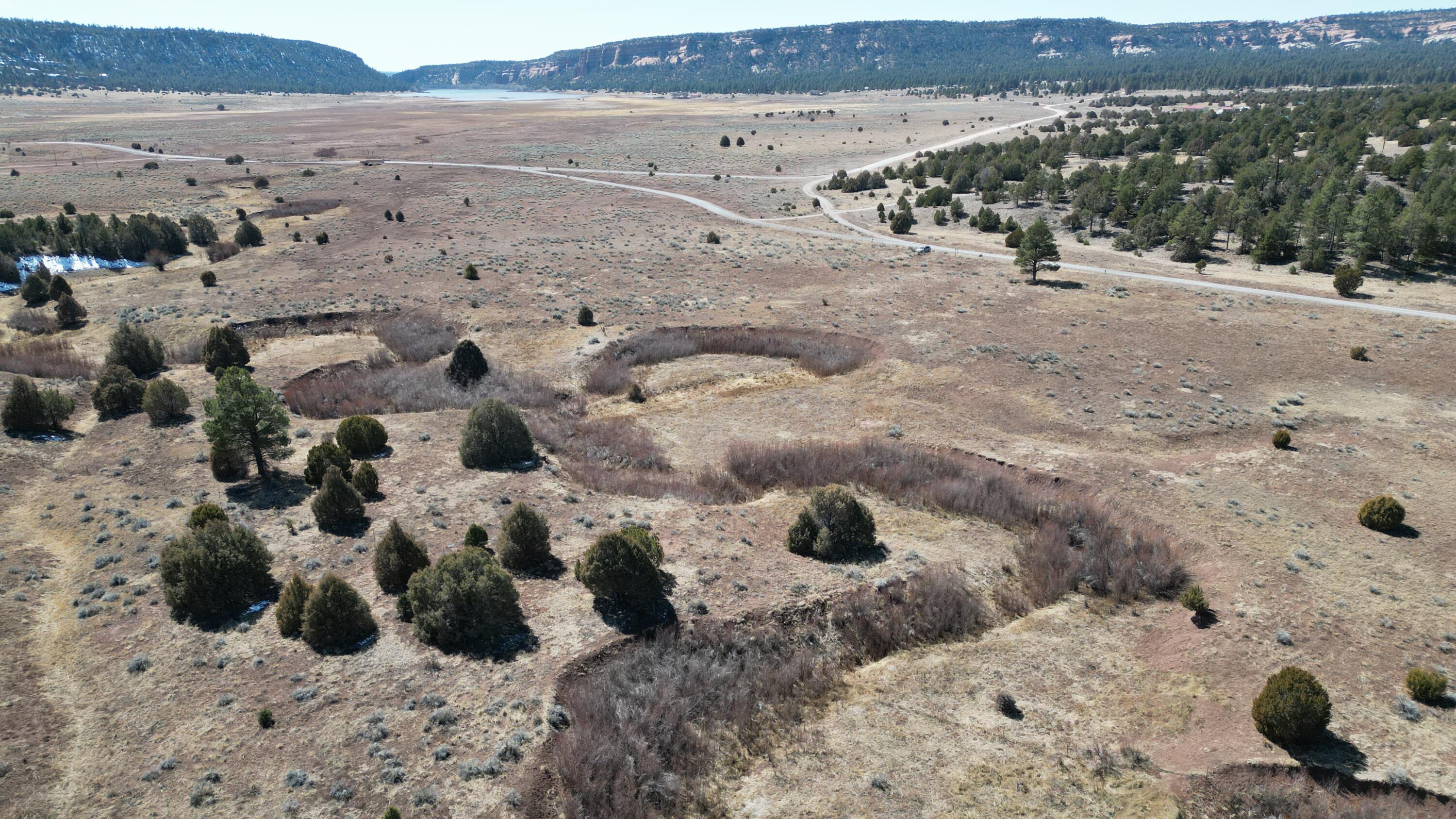 Tract C-1 Forest Road 157, Ramah, New Mexico image 48