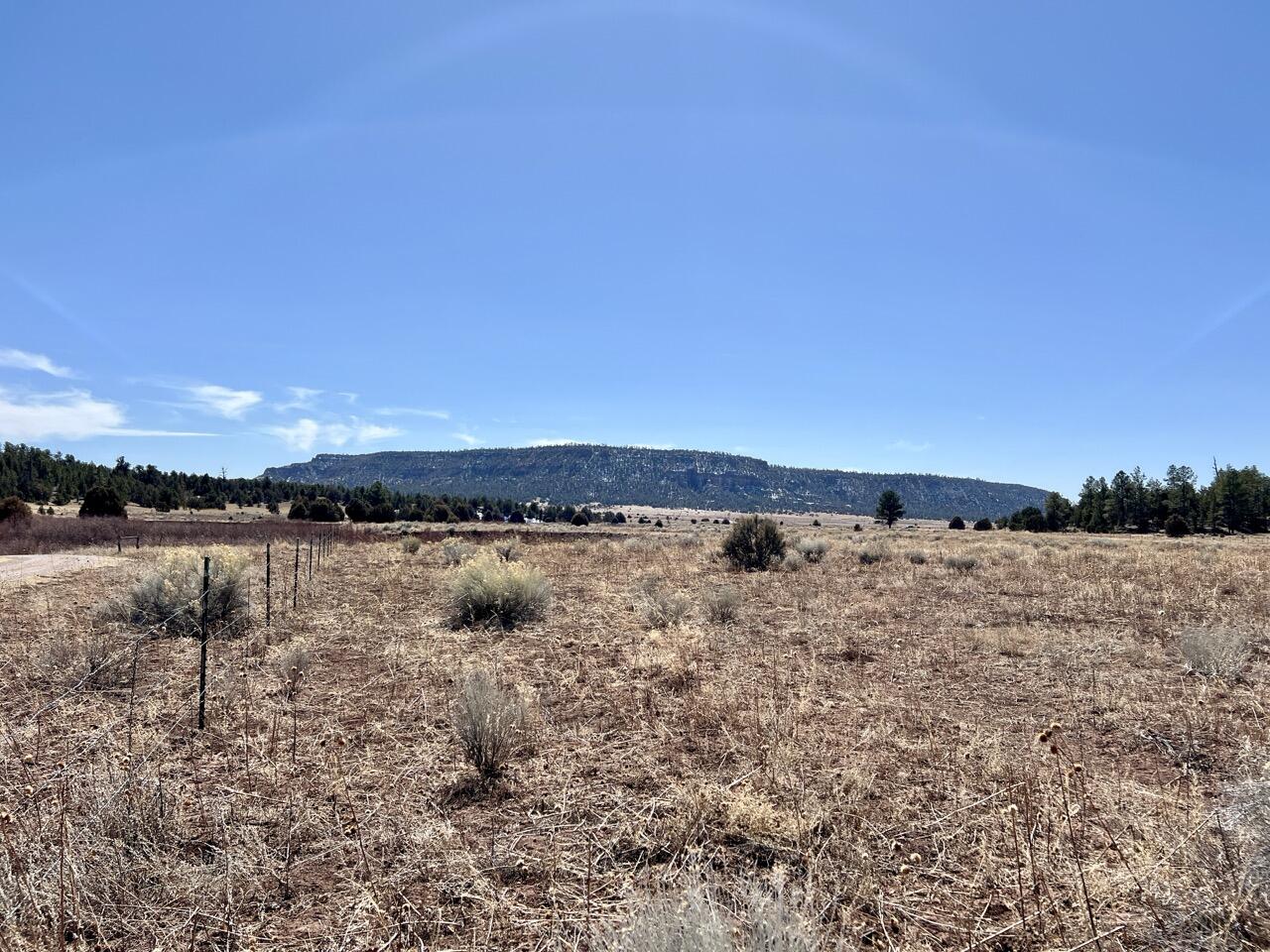 Tract C-1 Forest Road 157, Ramah, New Mexico image 13