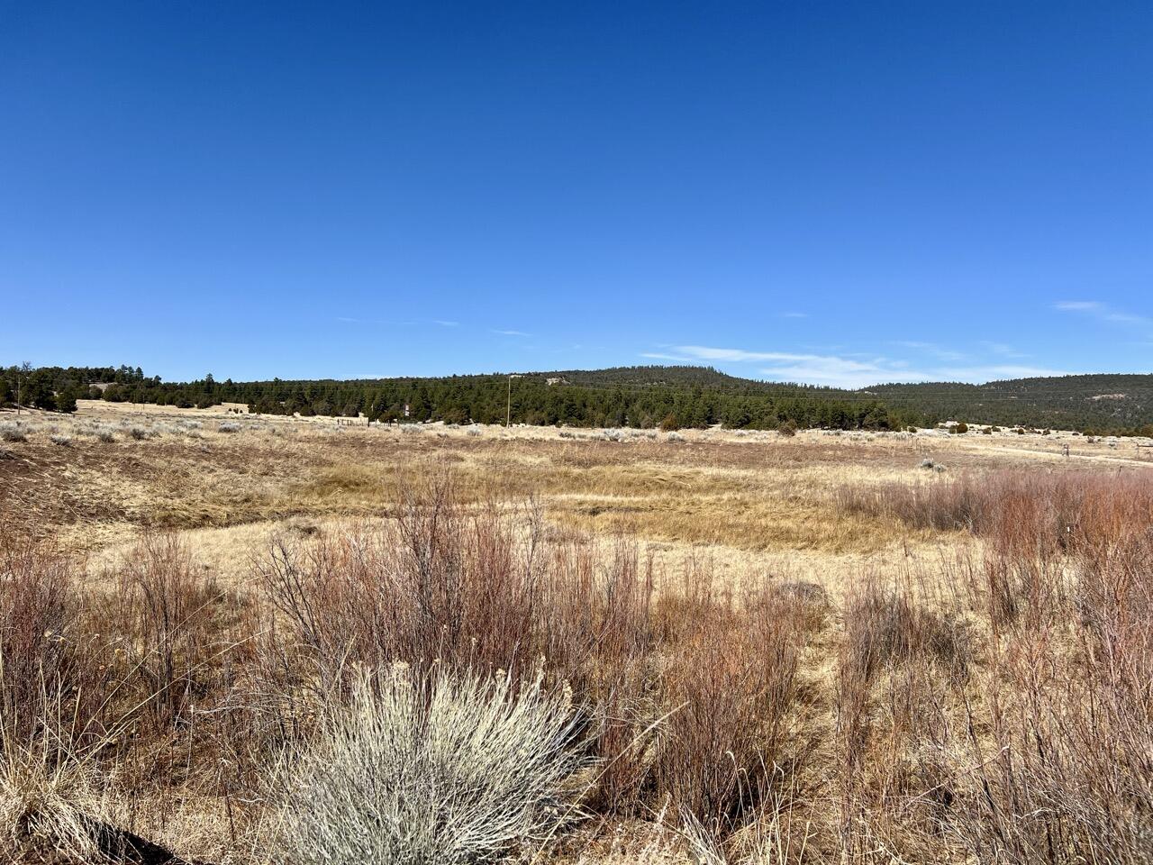 Tract C-1 Forest Road 157, Ramah, New Mexico image 16