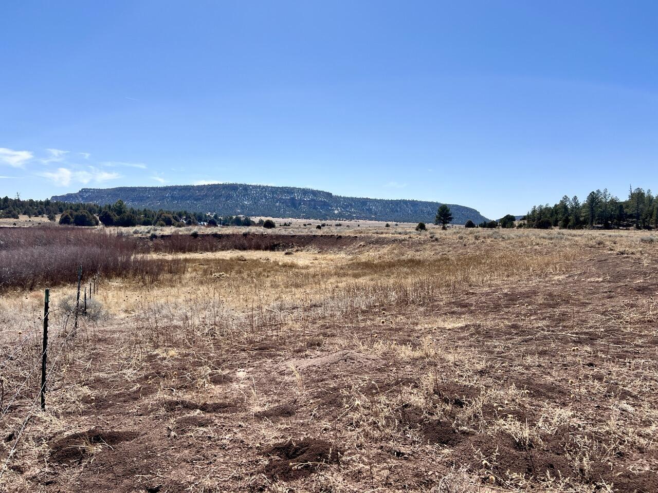 Tract C-1 Forest Road 157, Ramah, New Mexico image 14