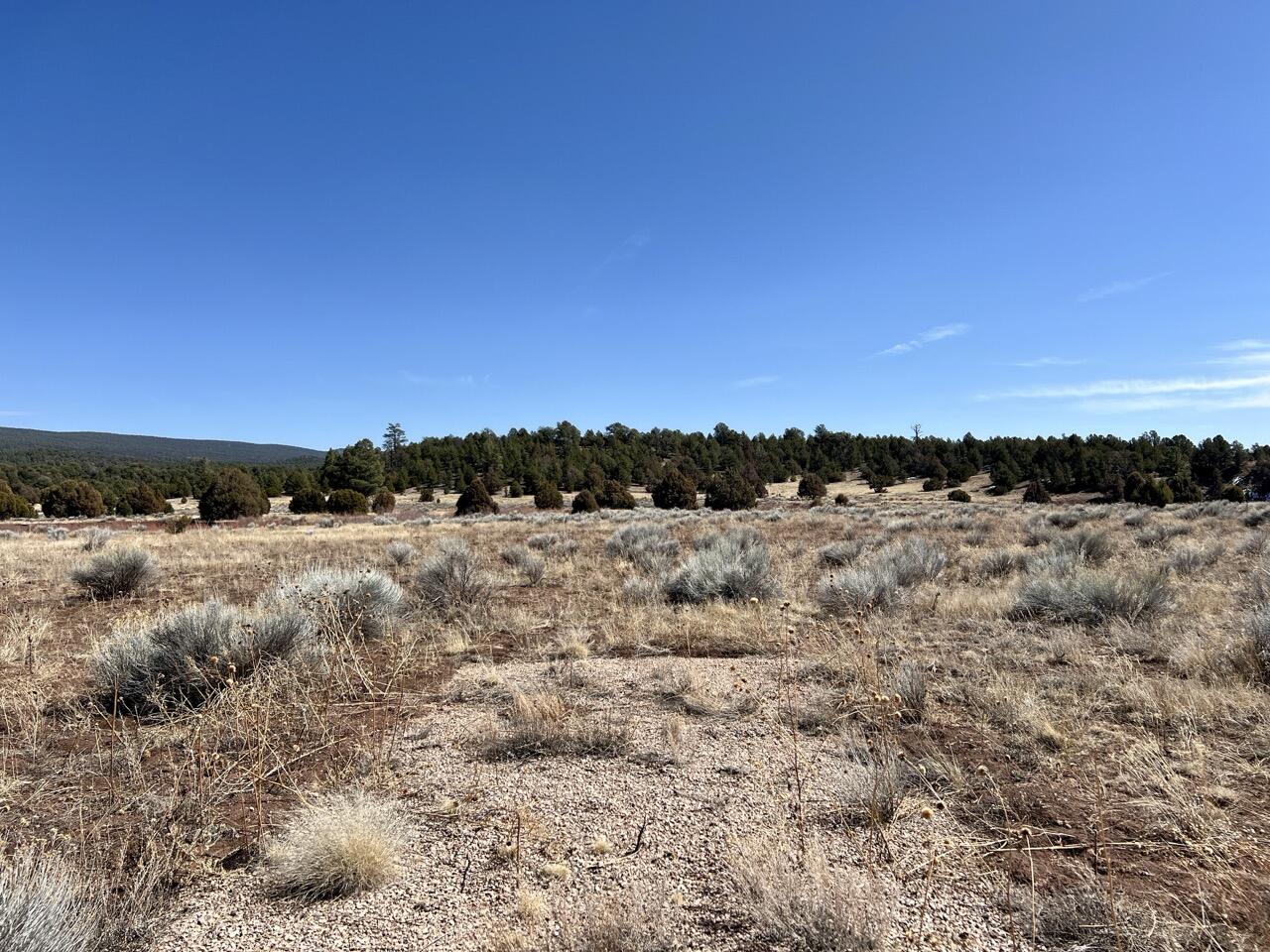 Tract C-1 Forest Road 157, Ramah, New Mexico image 10