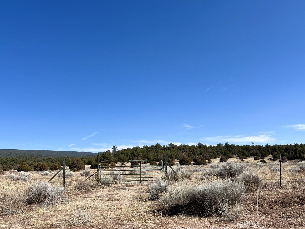 Tract C-1 Forest Road 157, Ramah, New Mexico image 39
