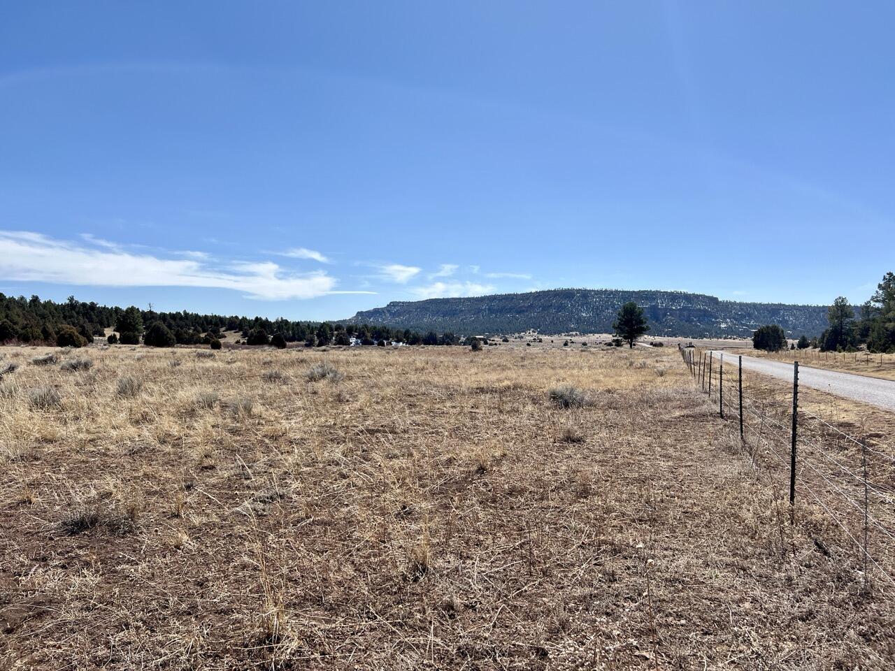Tract C-1 Forest Road 157, Ramah, New Mexico image 12