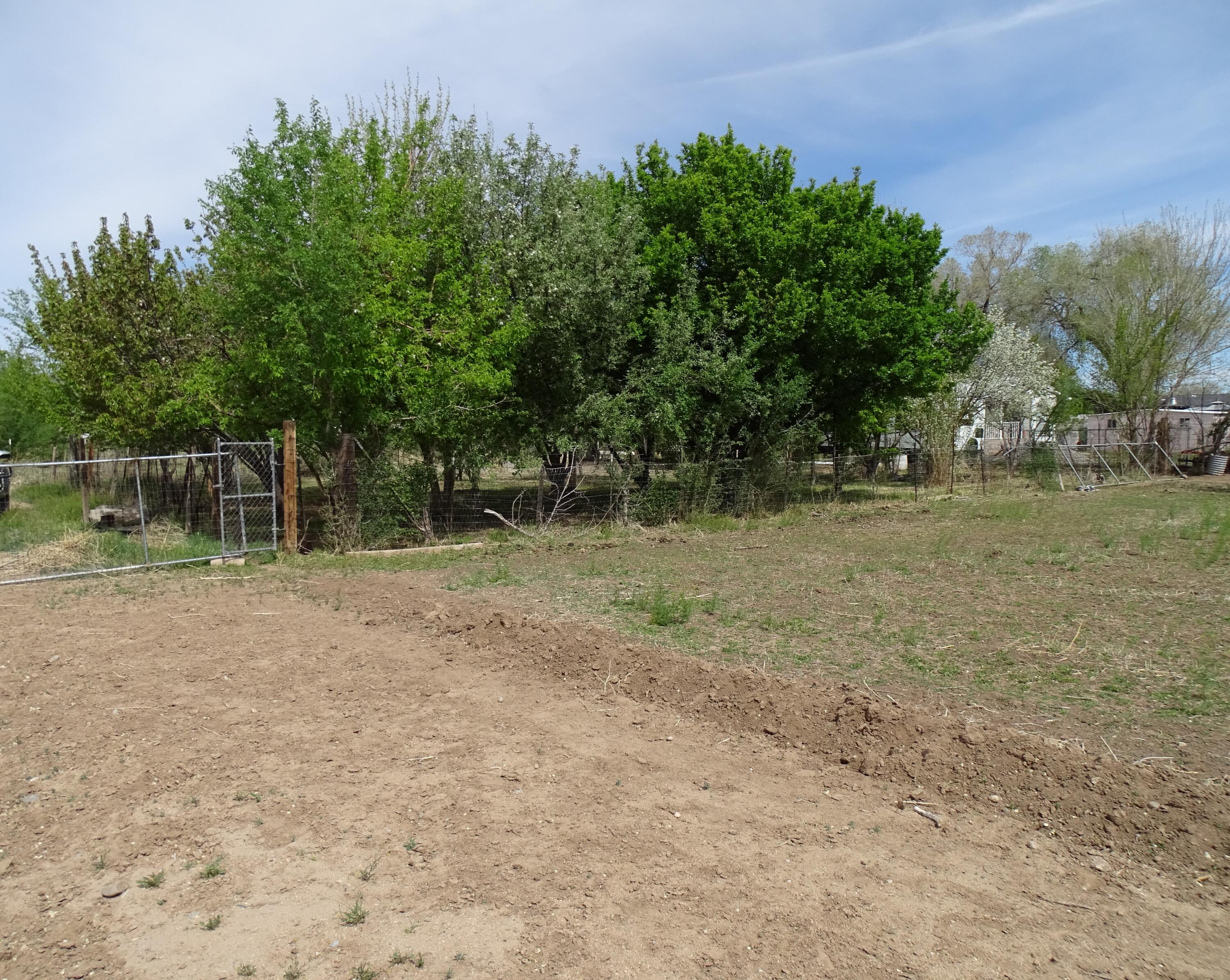 926 Oak Street, Bernalillo, New Mexico image 7